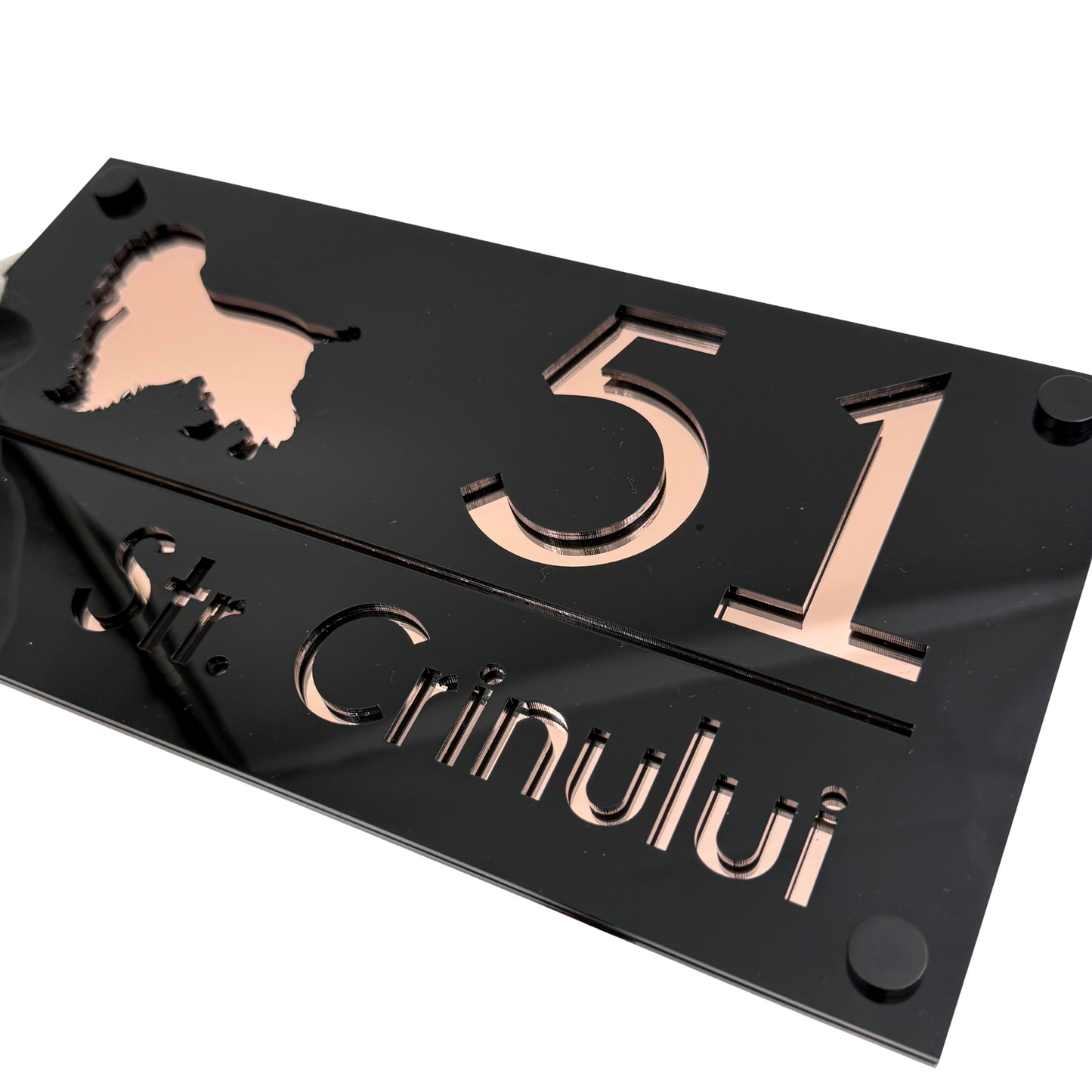PREMIUM HOUSE NUMBER - Glossy Black Rose Gold Mirror 4 Spacers NeGreyi - 28×15 cm