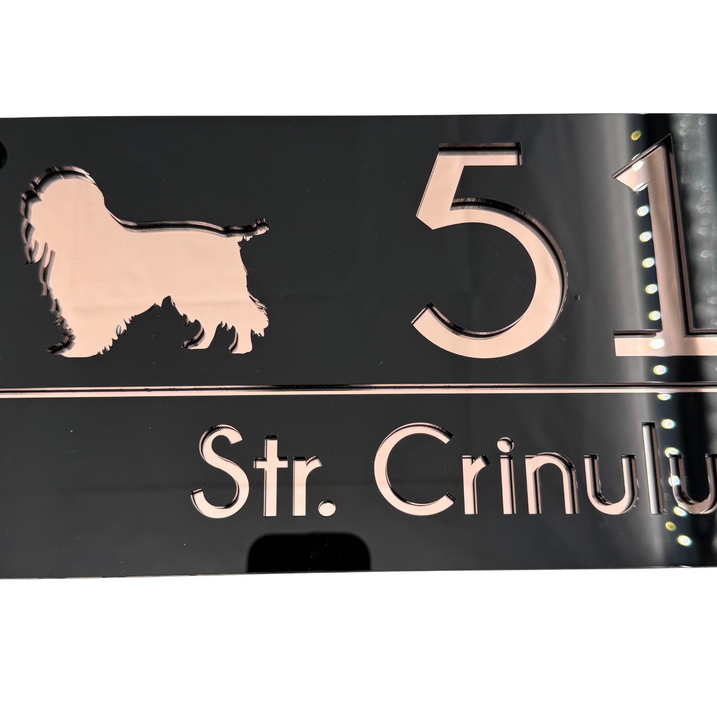 PREMIUM HOUSE NUMBER - Glossy Black Rose Gold Mirror 4 Spacers NeGreyi - 28×15 cm