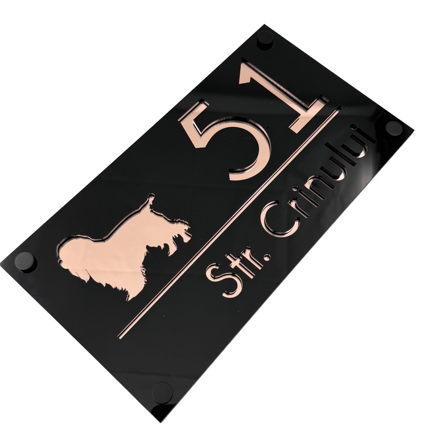 PREMIUM HOUSE NUMBER - Glossy Black Rose Gold Mirror 4 Spacers NeGreyi - 28×15 cm