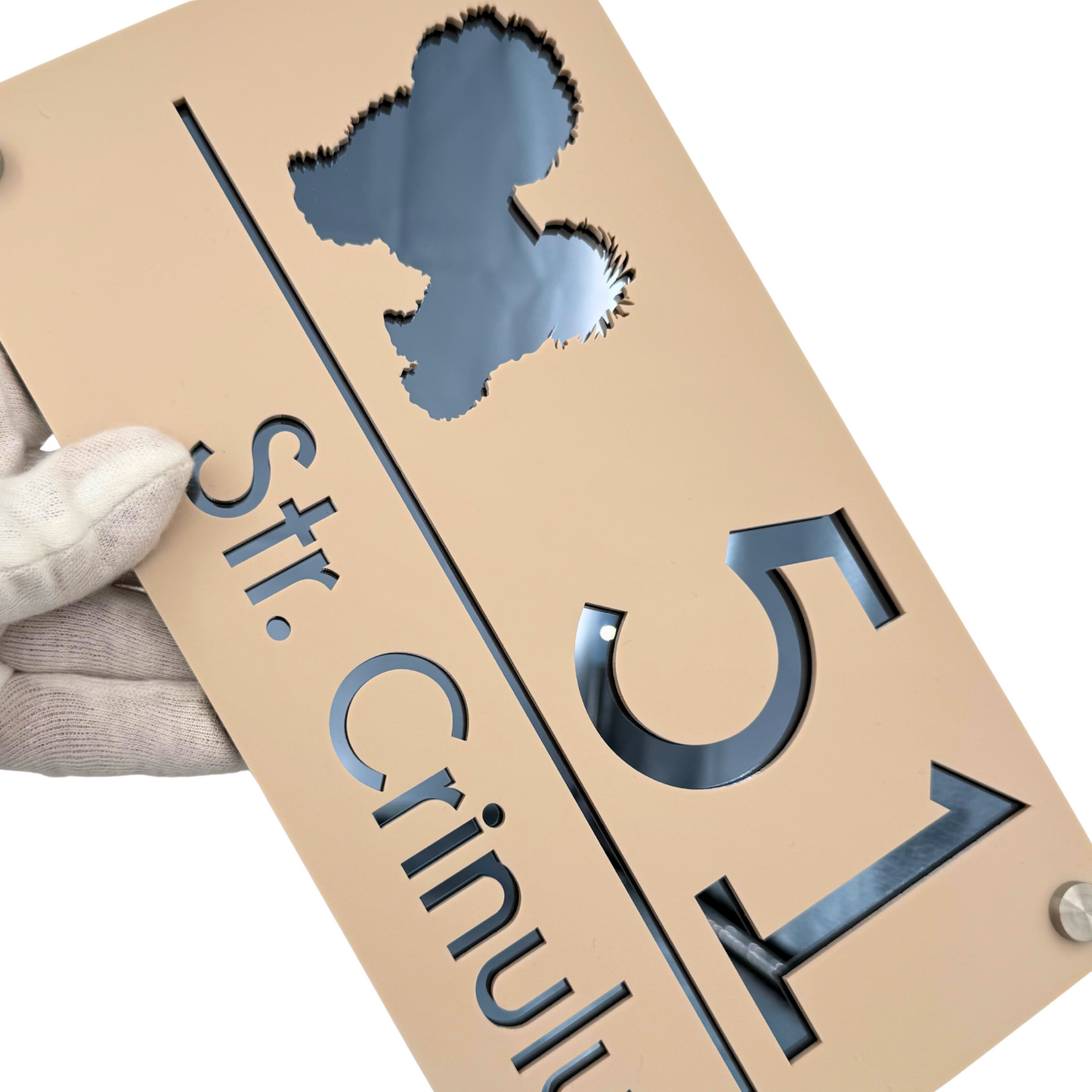 PREMIUM HOUSE NUMBER - Cream colour Satin Anthracite Grey Mirror 4 Spacers Silver - 28×15 cm