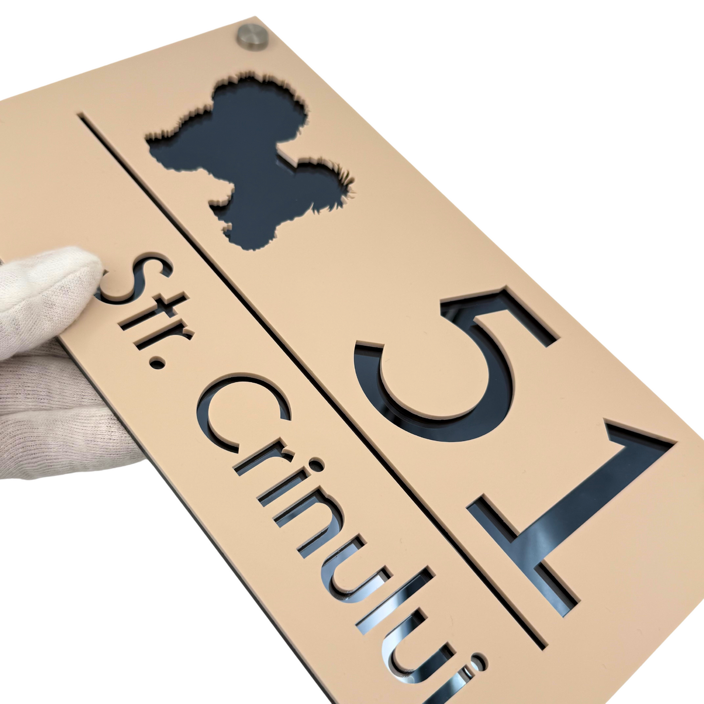 PREMIUM HOUSE NUMBER - Cream colour Satin Anthracite Grey Mirror 4 Spacers Silver - 28×15 cm
