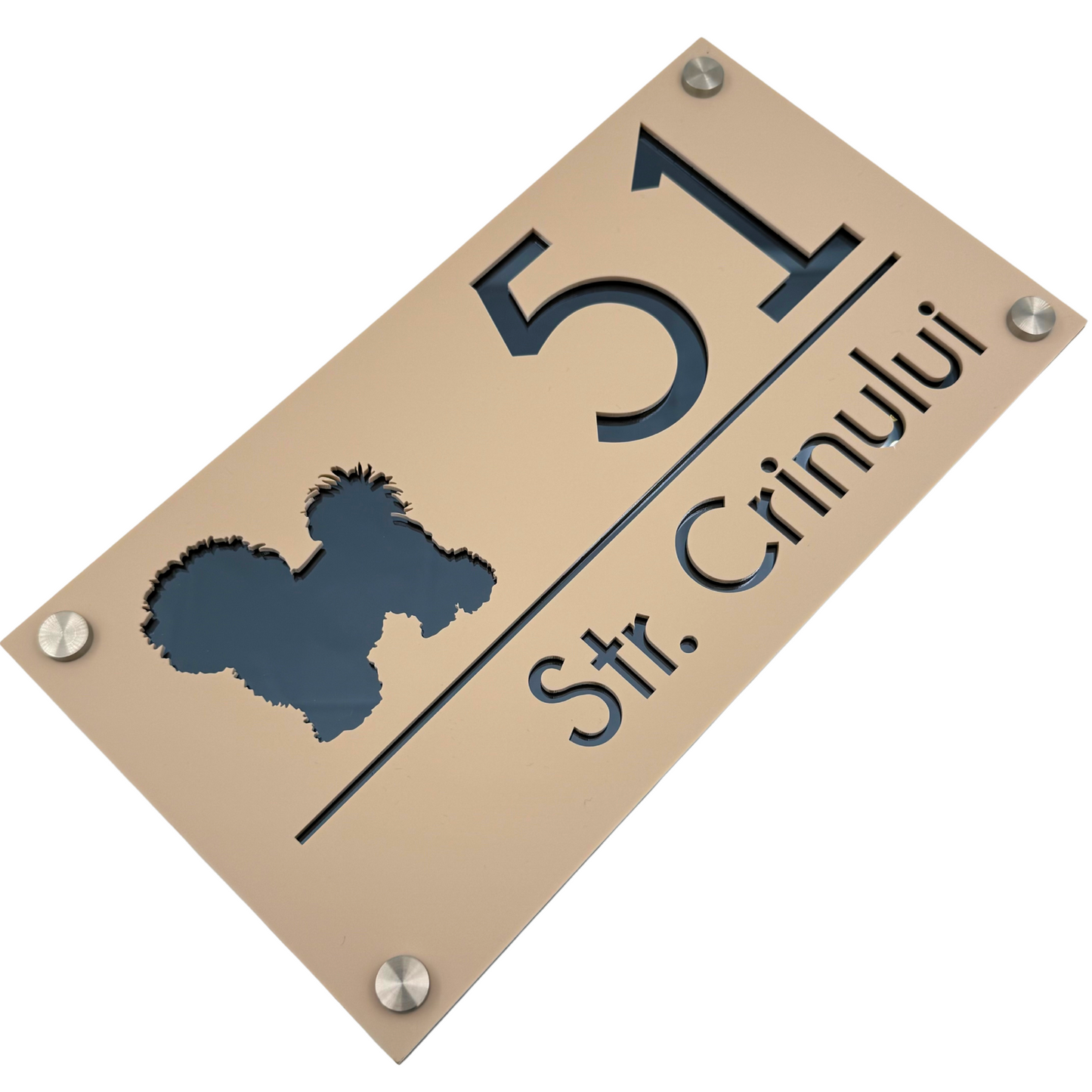 PREMIUM HOUSE NUMBER - Cream colour Satin Anthracite Grey Mirror 4 Spacers Silver - 28×15 cm