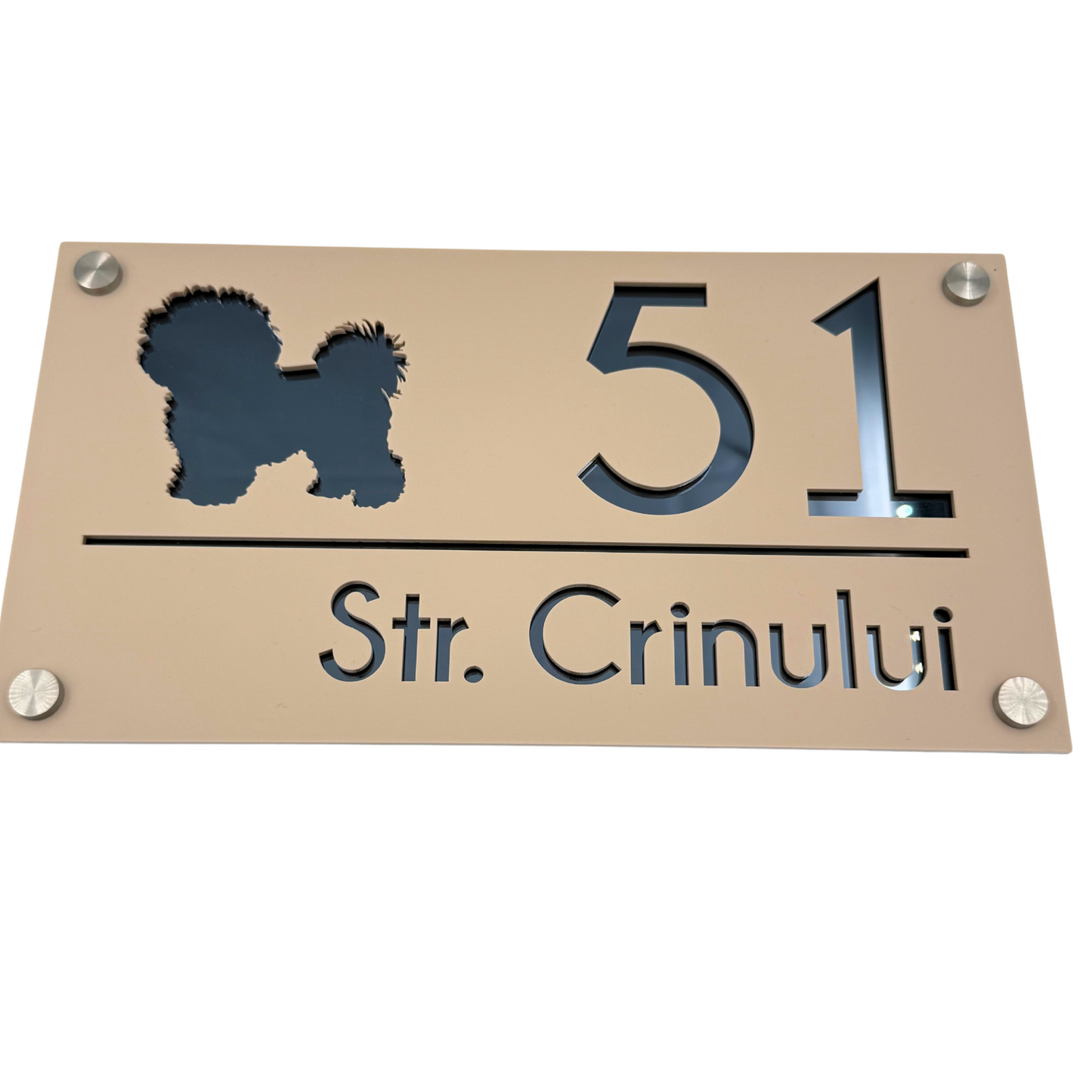 PREMIUM HOUSE NUMBER - Cream colour Satin Anthracite Grey Mirror 4 Spacers Silver - 28×15 cm