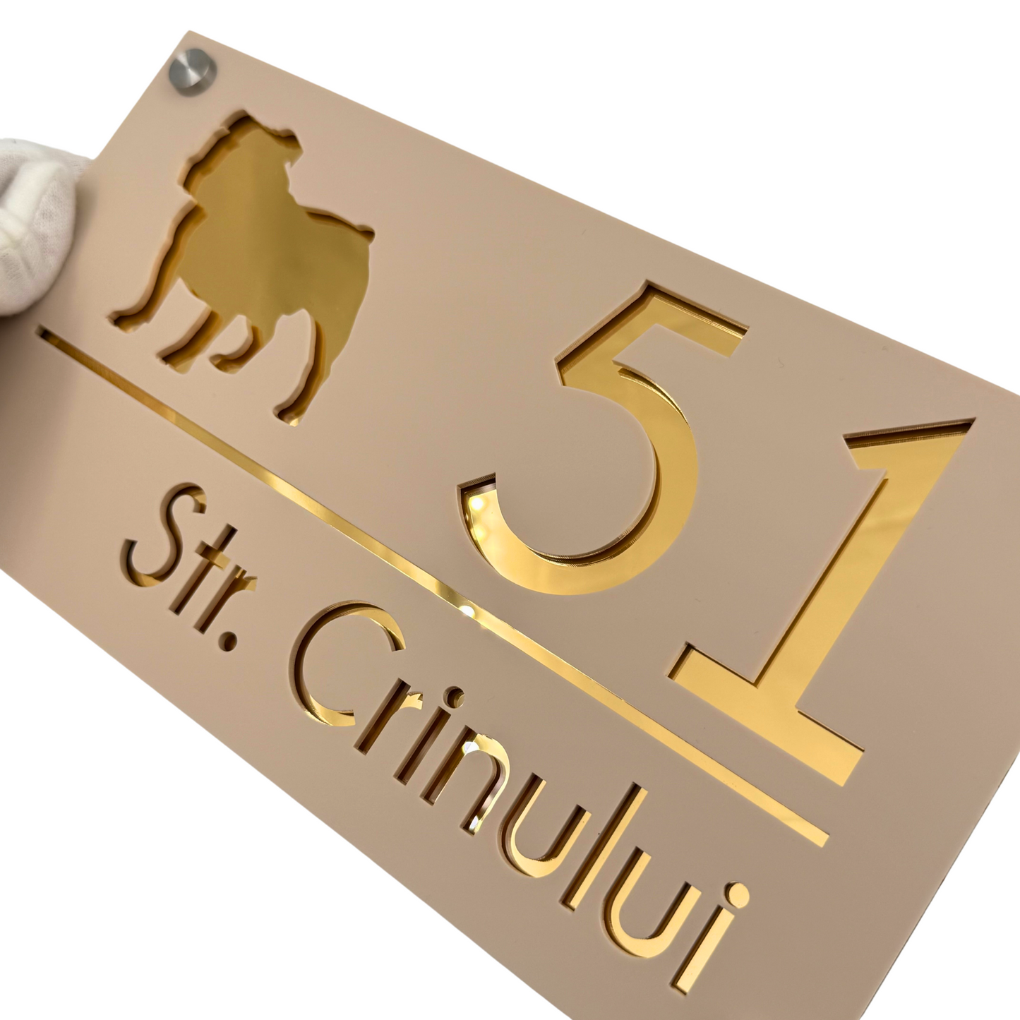 PREMIUM HOUSE NUMBER - Cream colour Satin Gold Mirror 4 Spacers Silver - 28×15 cm