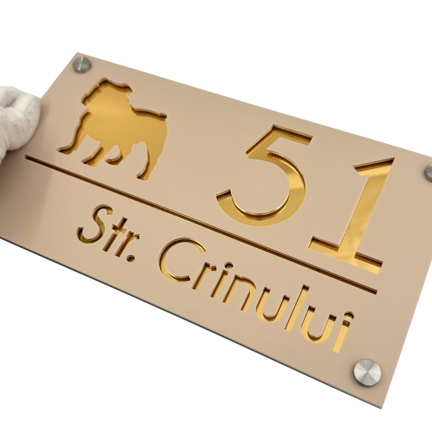 PREMIUM HOUSE NUMBER - Cream colour Satin Gold Mirror 4 Spacers Silver - 28×15 cm