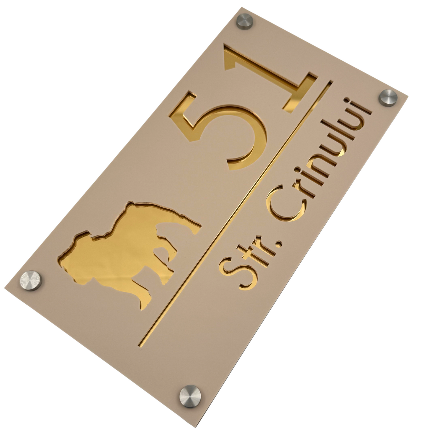 PREMIUM HOUSE NUMBER - Cream colour Satin Gold Mirror 4 Spacers Silver - 28×15 cm