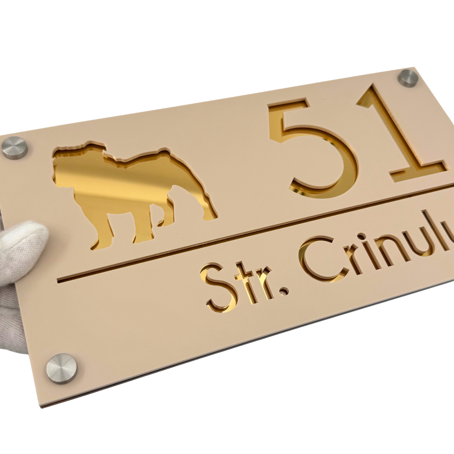 PREMIUM HOUSE NUMBER - Cream colour Satin Gold Mirror 4 Spacers Silver - 28×15 cm