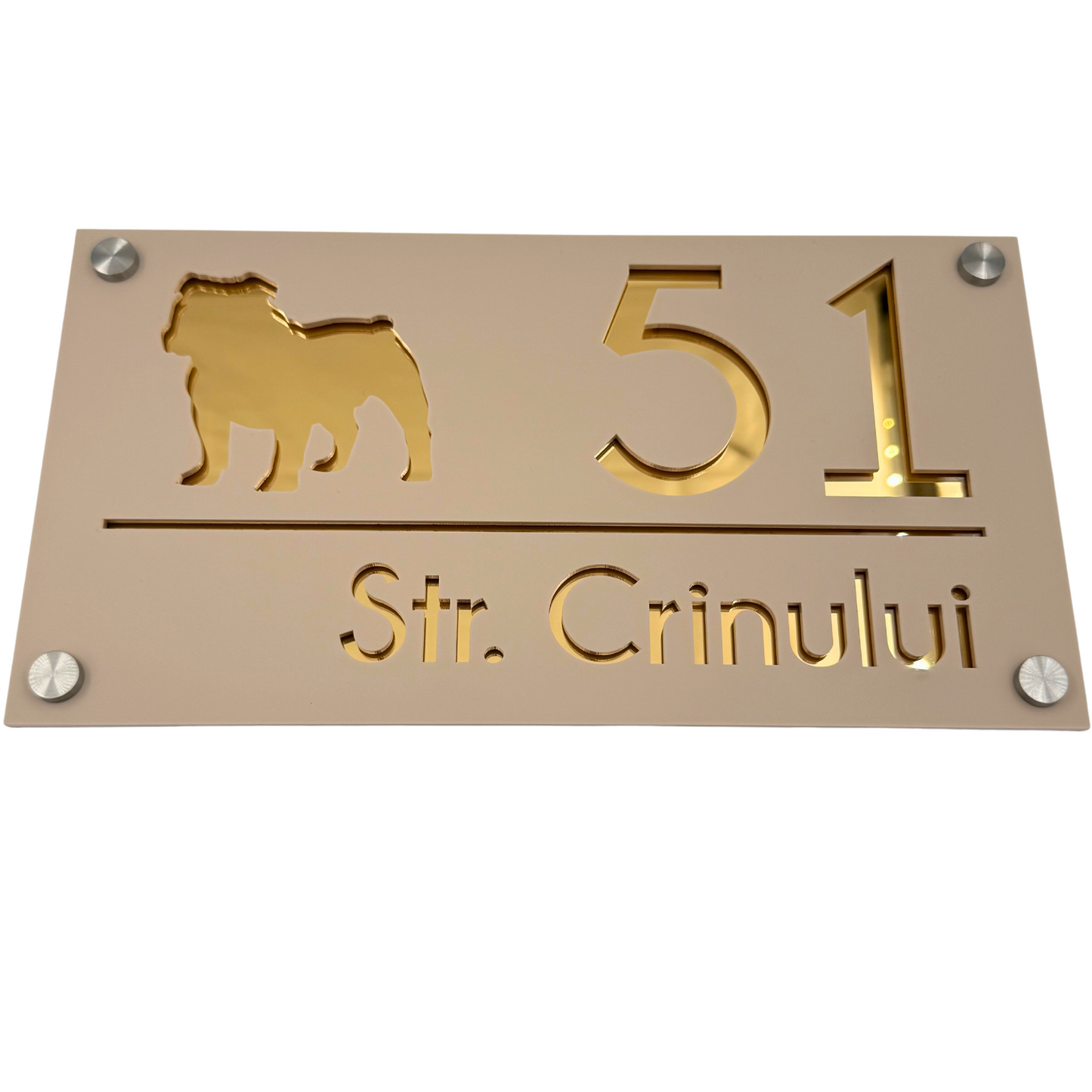 PREMIUM HOUSE NUMBER - Cream colour Satin Gold Mirror 4 Spacers Silver - 28×15 cm