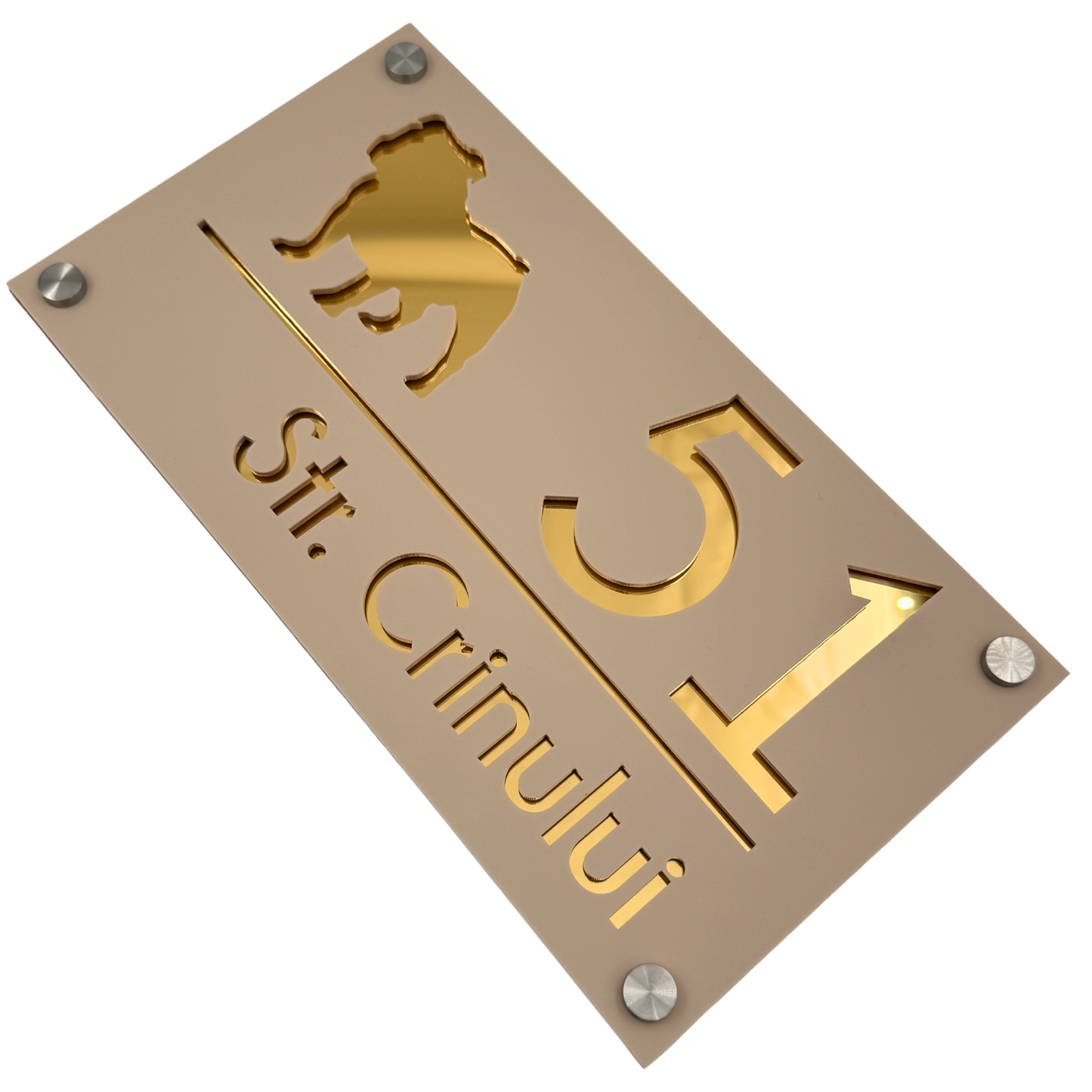 PREMIUM HOUSE NUMBER - Cream colour Satin Gold Mirror 4 Spacers Silver - 28×15 cm