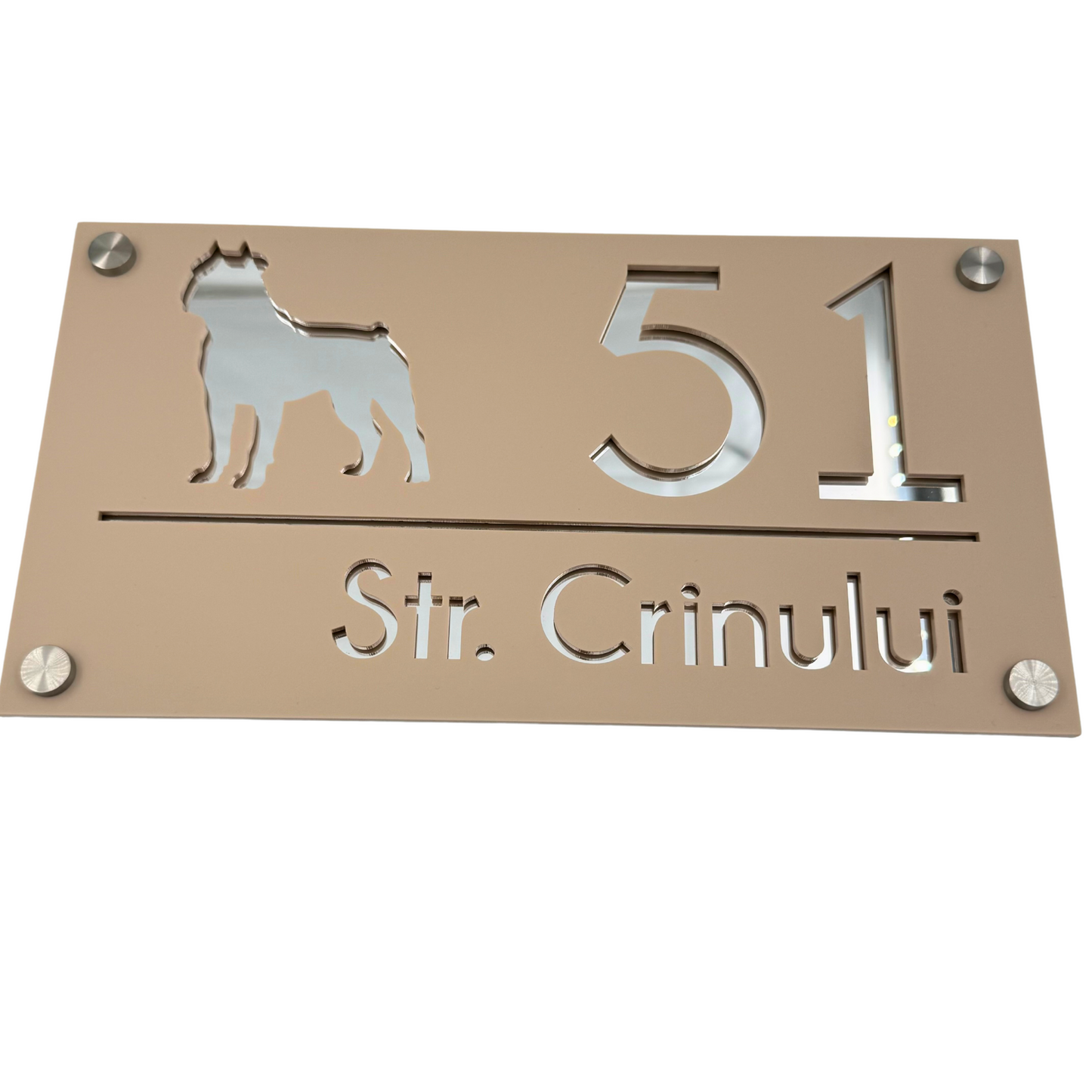 PREMIUM HOUSE NUMBER - Cream colour Satin Silver Mirror 4 Spacers Silver - 28×15 cm