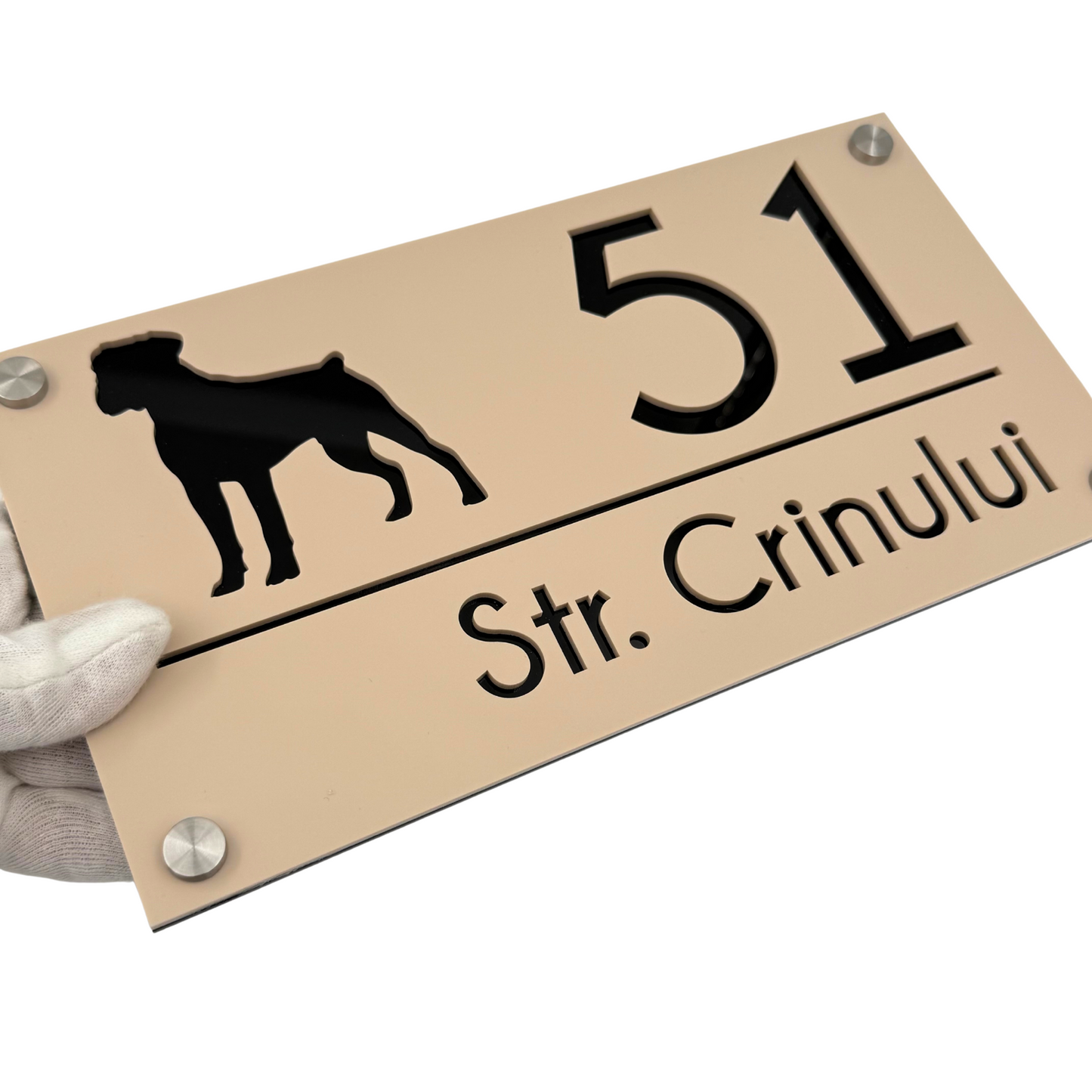 PREMIUM HOUSE NUMBER - Cream colour Satin Glossy Black 4 Spacers Silver - 28×15 cm