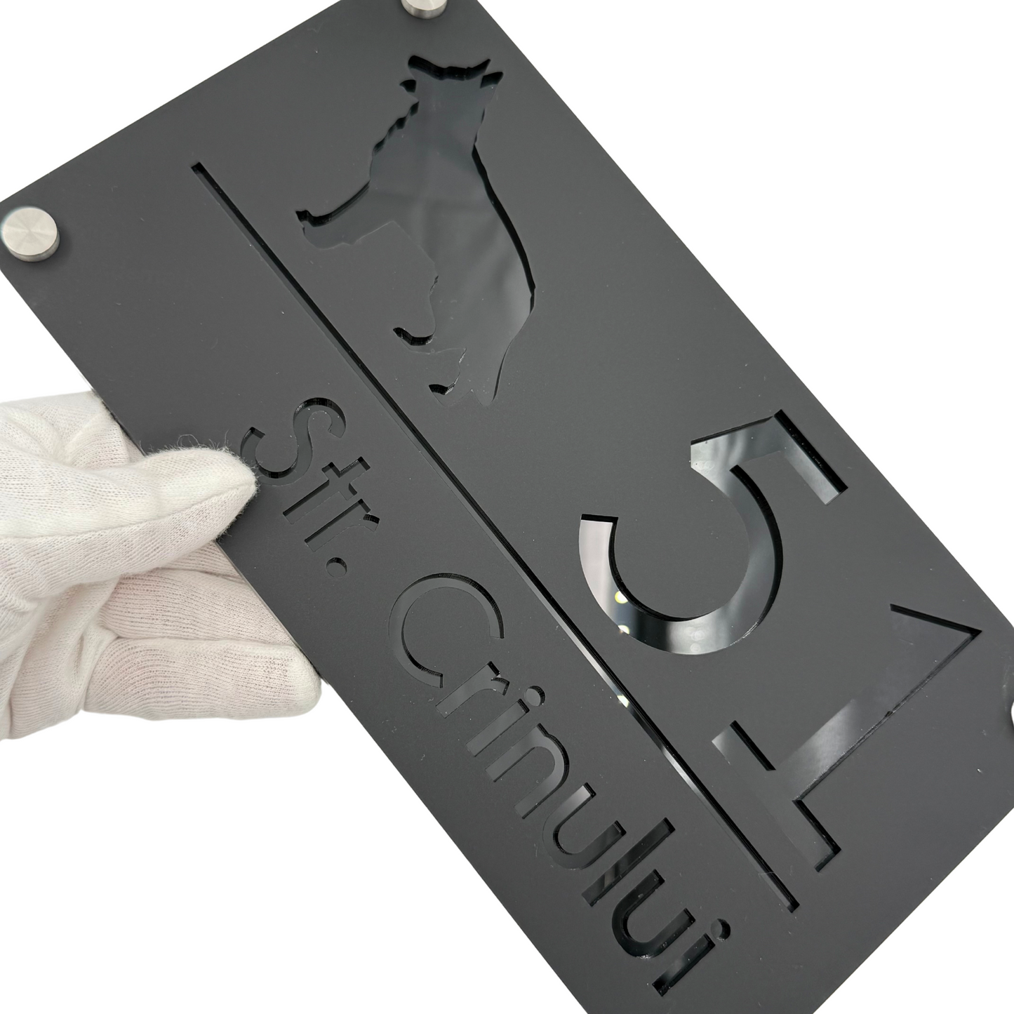 PREMIUM HOUSE NUMBER - Satin Black Glossy Black 4 Spacers Silver - 28×15 cm