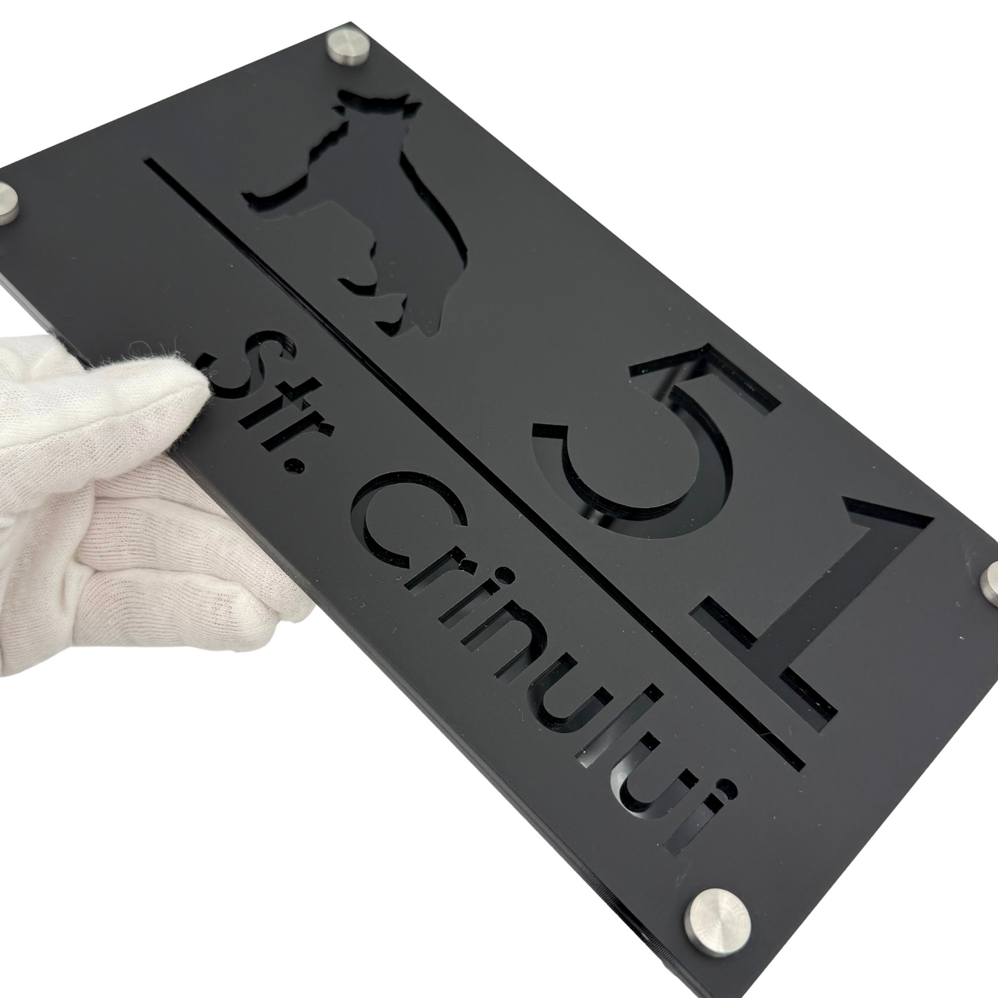 PREMIUM HOUSE NUMBER - Satin Black Glossy Black 4 Spacers Silver - 28×15 cm