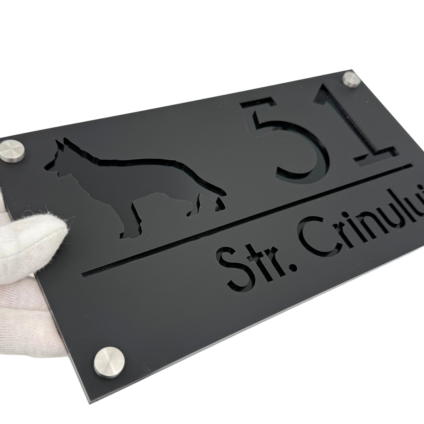 PREMIUM HOUSE NUMBER - Satin Black Glossy Black 4 Spacers Silver - 28×15 cm