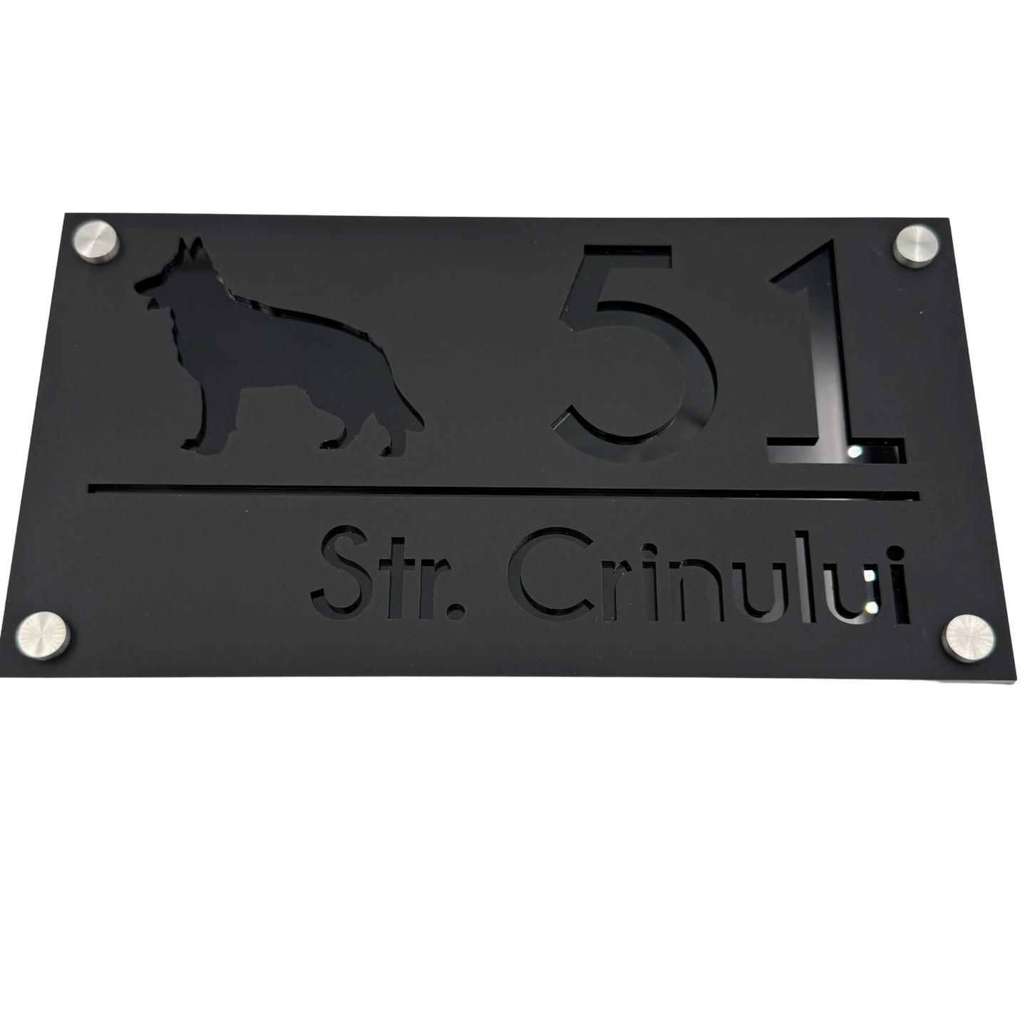 PREMIUM HOUSE NUMBER - Satin Black Glossy Black 4 Spacers Silver - 28×15 cm