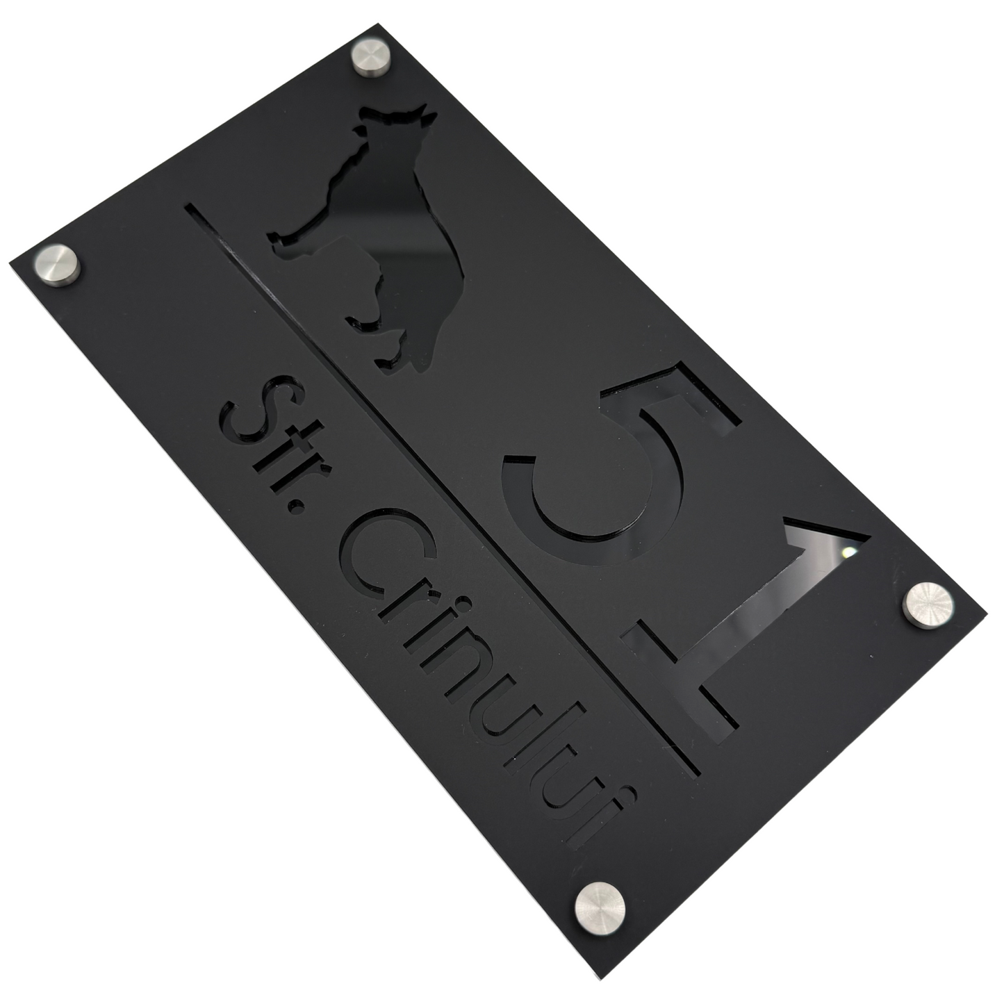 PREMIUM HOUSE NUMBER - Satin Black Glossy Black 4 Spacers Silver - 28×15 cm