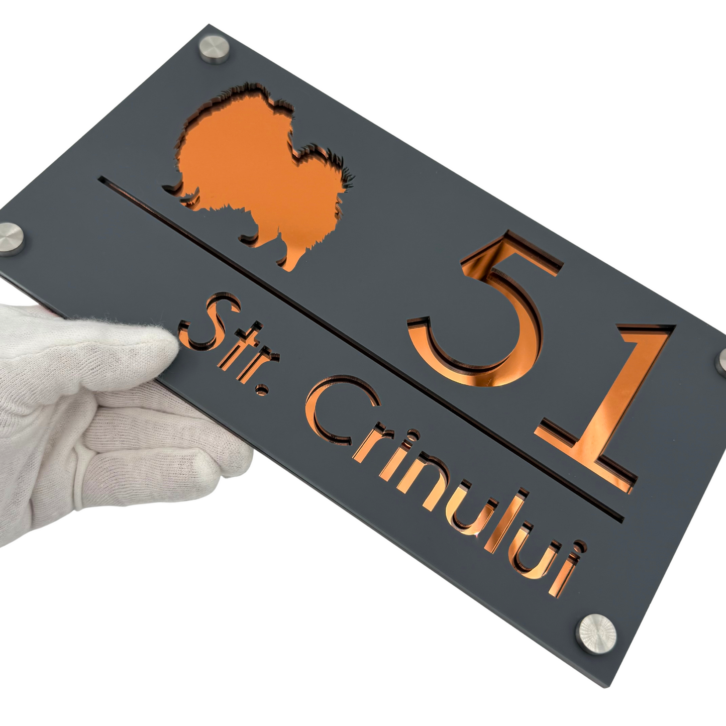 PREMIUM HOUSE NUMBER - Satin Grey Copper Mirror 4 Spacers Silver - 28×15 cm
