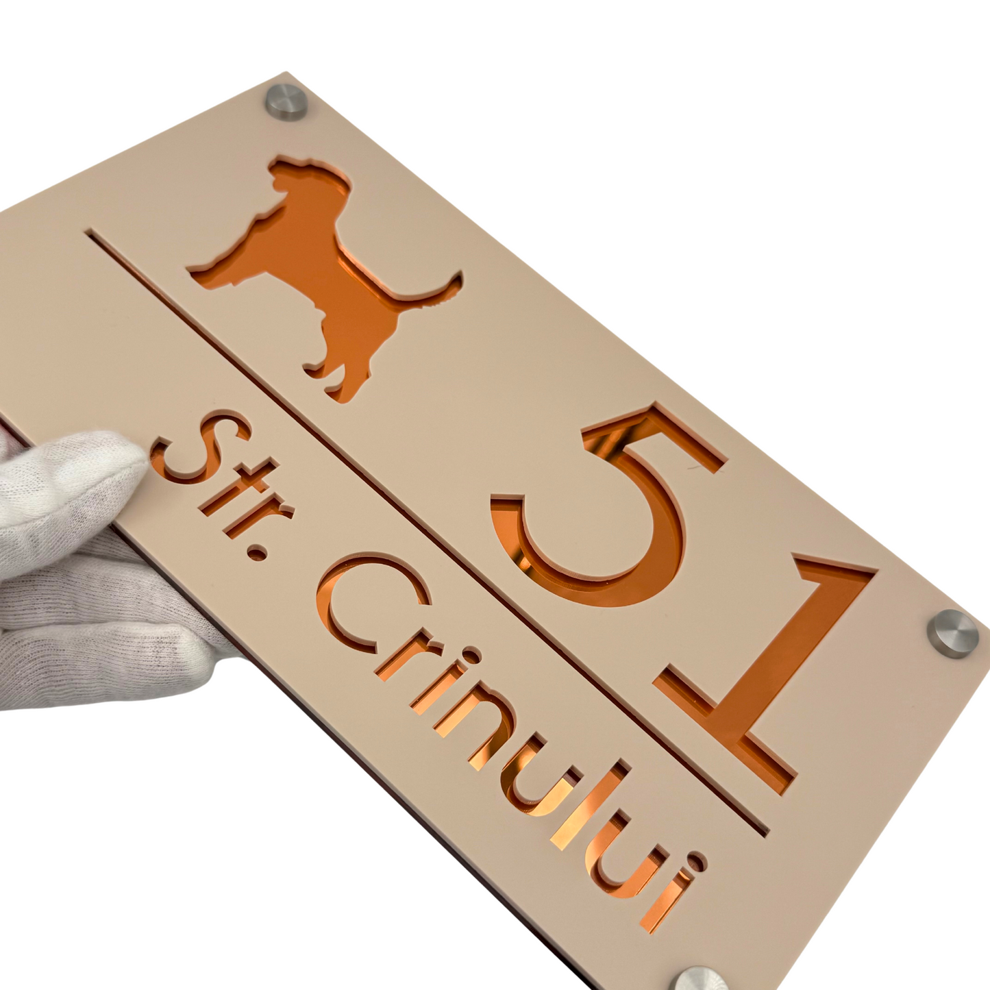 PREMIUM HOUSE NUMBER - Cream colour Satin Copper Mirror 4 Spacers Silver - 28×15 cm