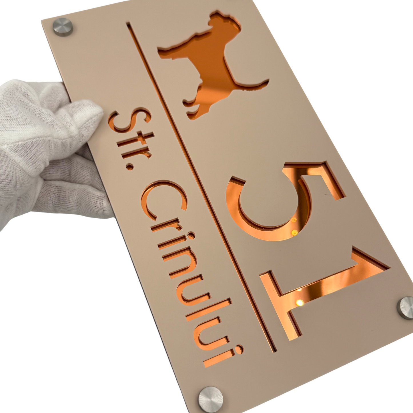 PREMIUM HOUSE NUMBER - Cream colour Satin Copper Mirror 4 Spacers Silver - 28×15 cm