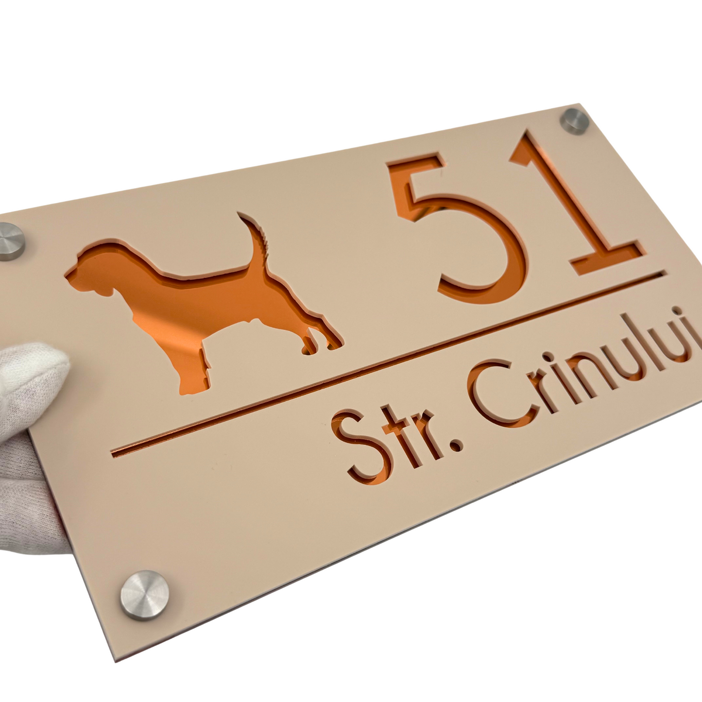 PREMIUM HOUSE NUMBER - Cream colour Satin Copper Mirror 4 Spacers Silver - 28×15 cm