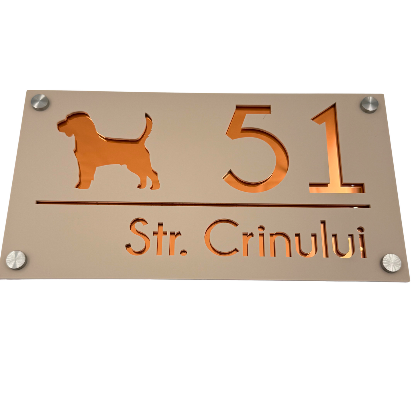 PREMIUM HOUSE NUMBER - Cream colour Satin Copper Mirror 4 Spacers Silver - 28×15 cm