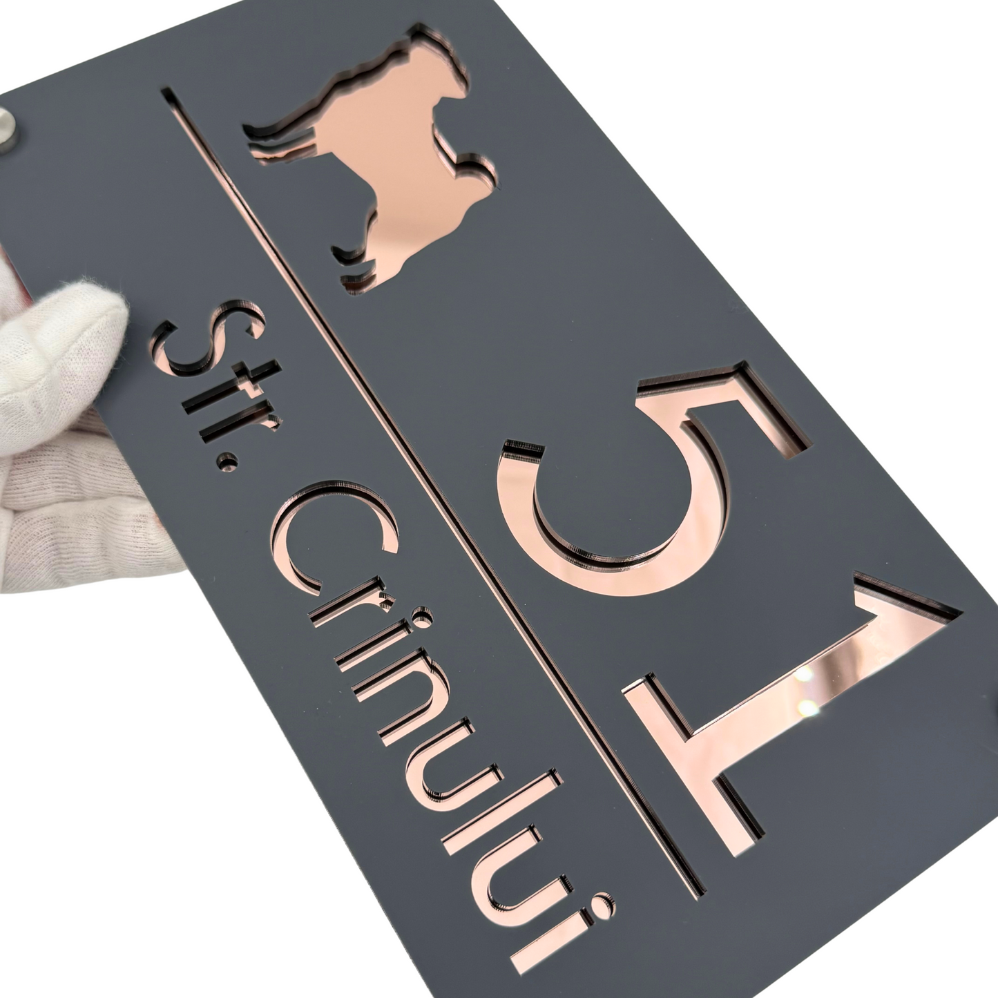 PREMIUM HOUSE NUMBER - Satin Grey Rose Gold Mirror 4 Spacers Silver - 28×15 cm