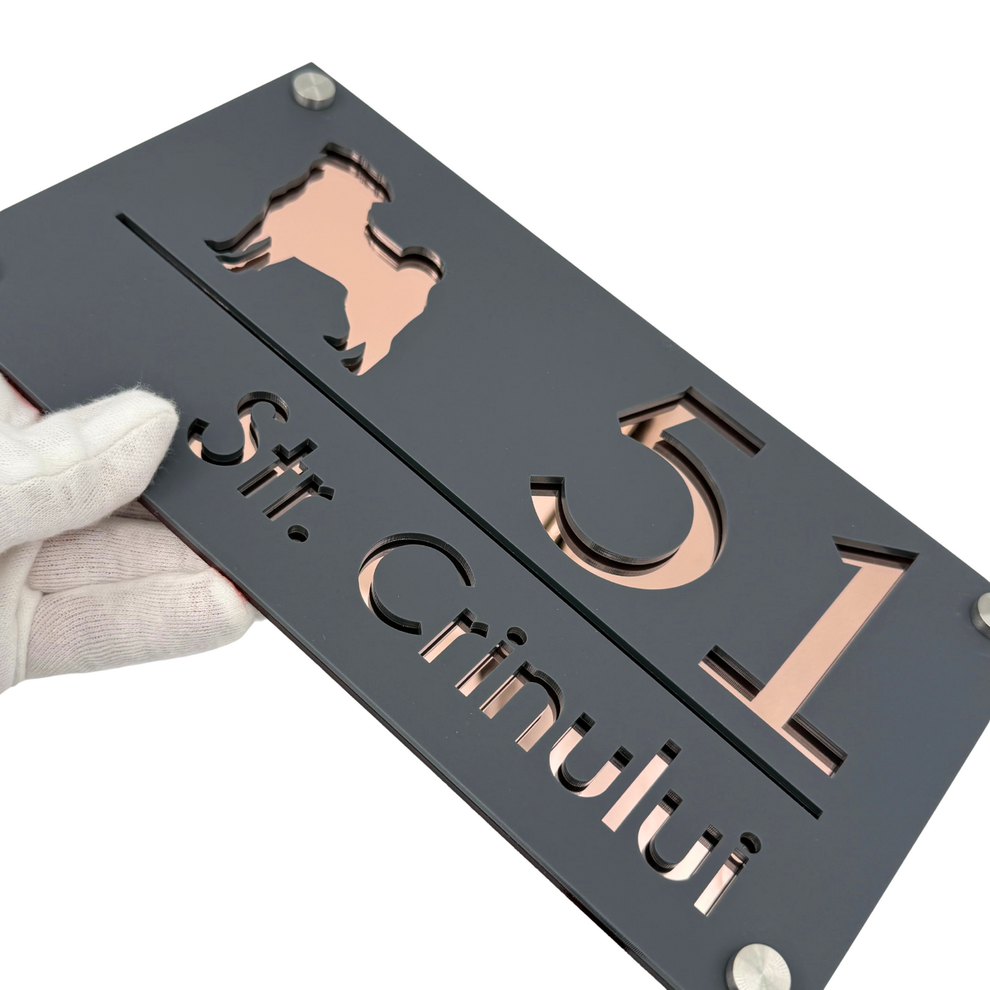 PREMIUM HOUSE NUMBER - Satin Grey Rose Gold Mirror 4 Spacers Silver - 28×15 cm