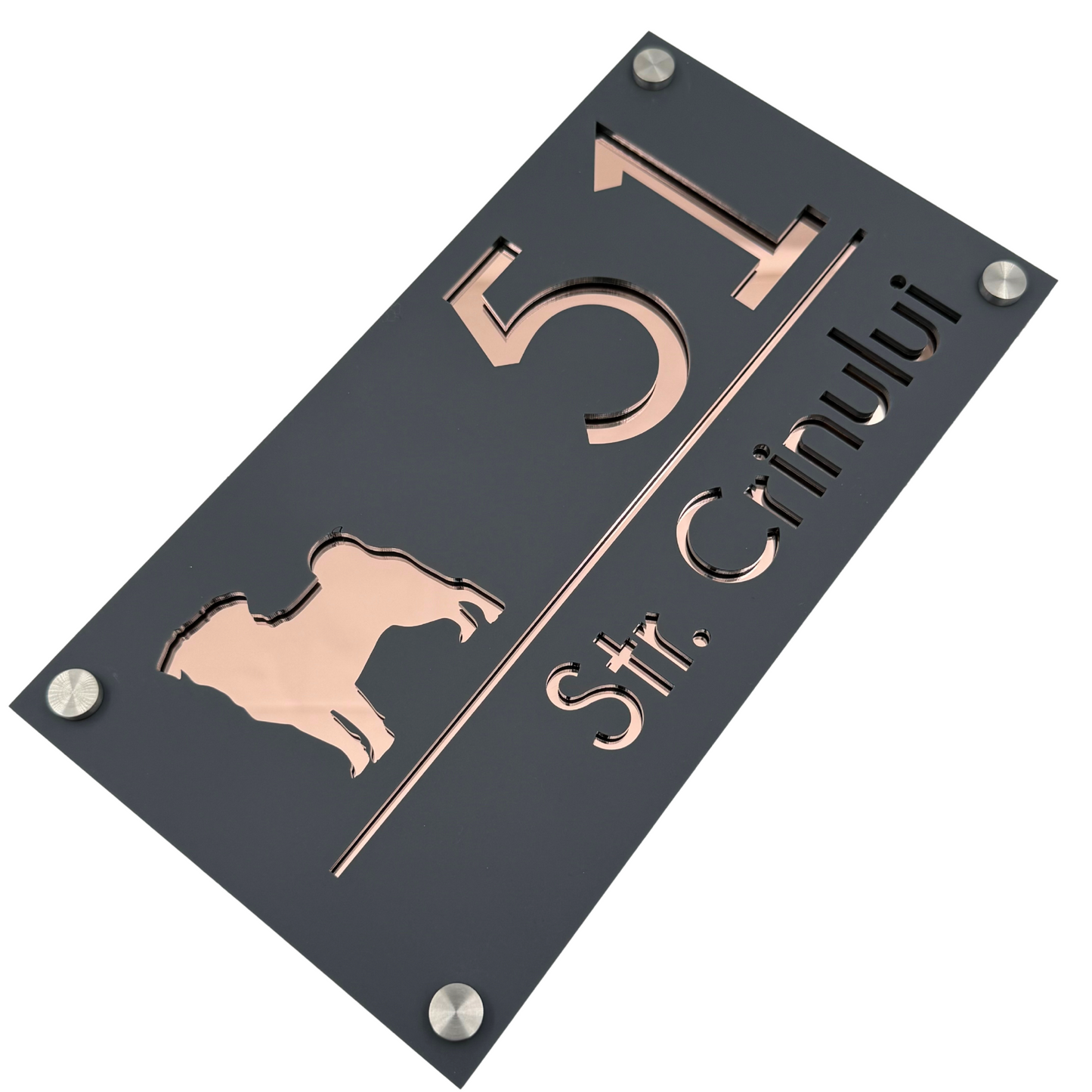 PREMIUM HOUSE NUMBER - Satin Grey Rose Gold Mirror 4 Spacers Silver - 28×15 cm