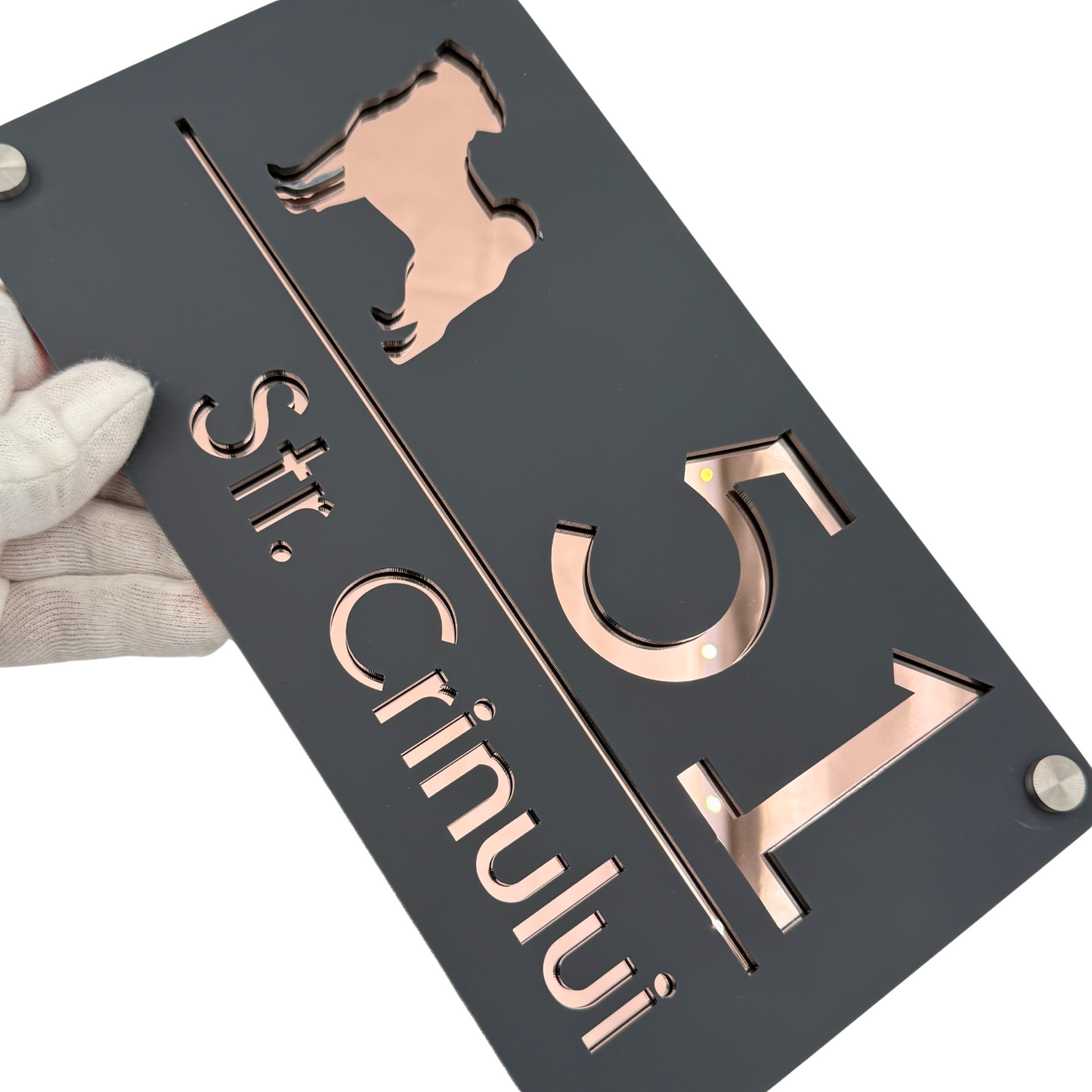 PREMIUM HOUSE NUMBER - Satin Grey Rose Gold Mirror 4 Spacers Silver - 28×15 cm