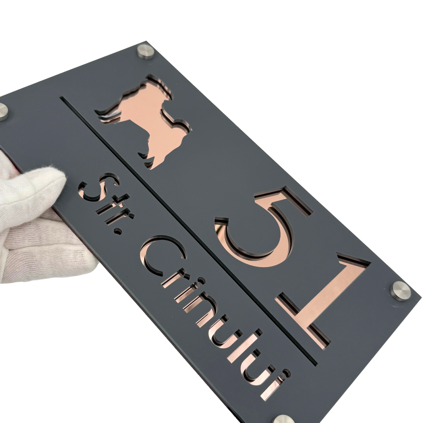 PREMIUM HOUSE NUMBER - Satin Grey Rose Gold Mirror 4 Spacers Silver - 28×15 cm