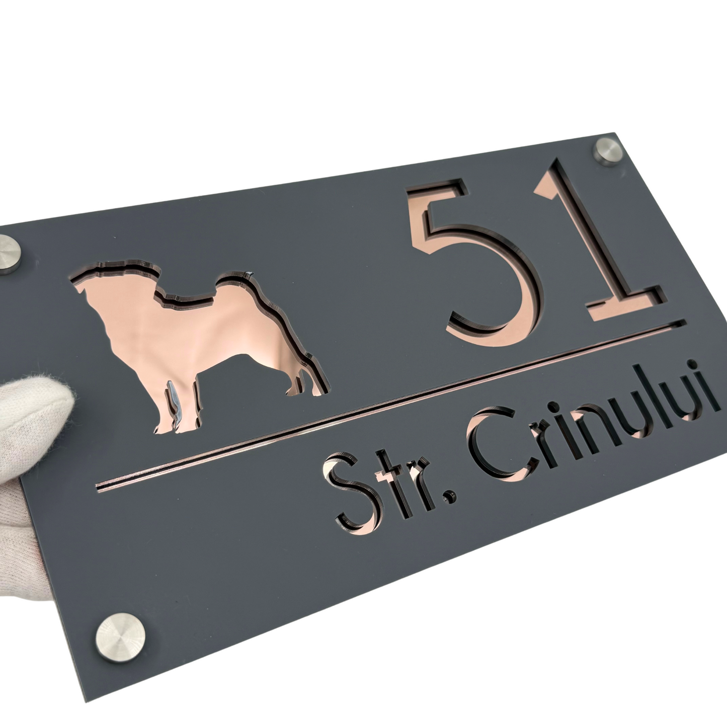 PREMIUM HOUSE NUMBER - Satin Grey Rose Gold Mirror 4 Spacers Silver - 28×15 cm