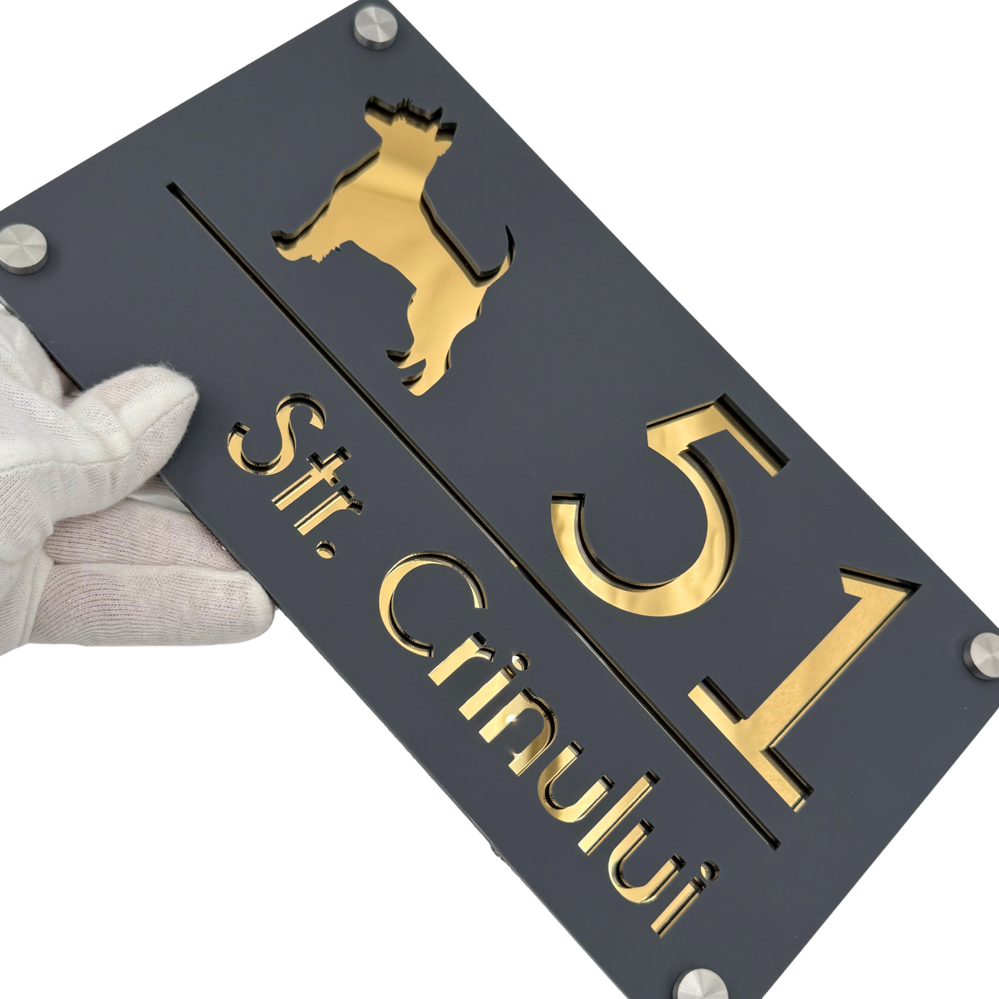 PREMIUM HOUSE NUMBER - Satin Grey Gold Mirror 4 Spacers Silver - 28×15 cm