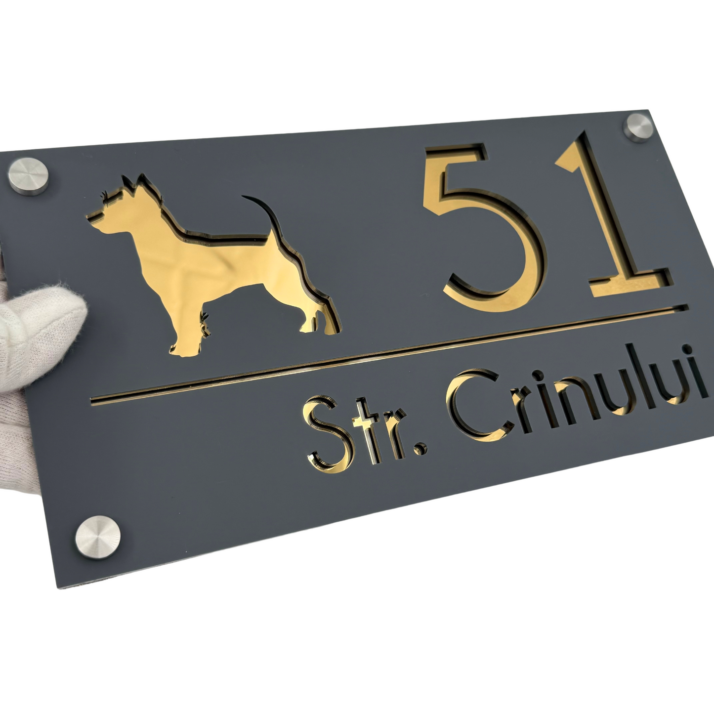 PREMIUM HOUSE NUMBER - Satin Grey Gold Mirror 4 Spacers Silver - 28×15 cm