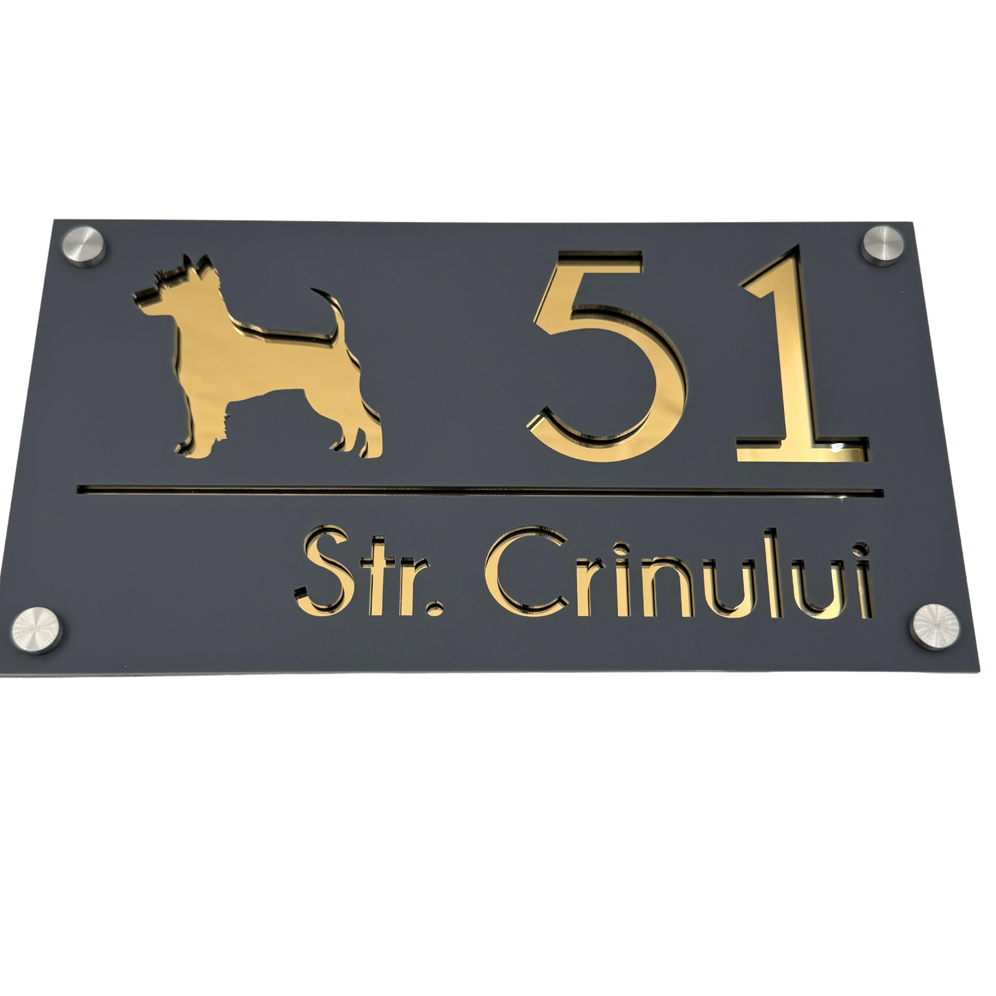 PREMIUM HOUSE NUMBER - Satin Grey Gold Mirror 4 Spacers Silver - 28×15 cm
