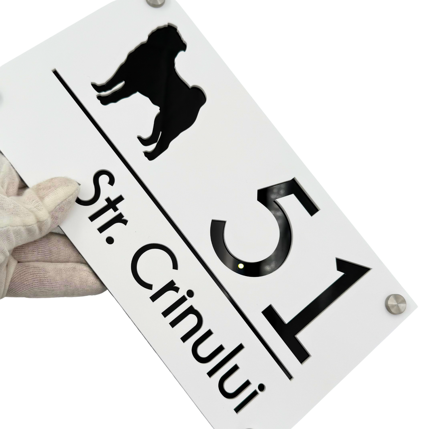 PREMIUM HOUSE NUMBER - White Satin Glossy Black 4 Spacers Silver - 28×15 cm