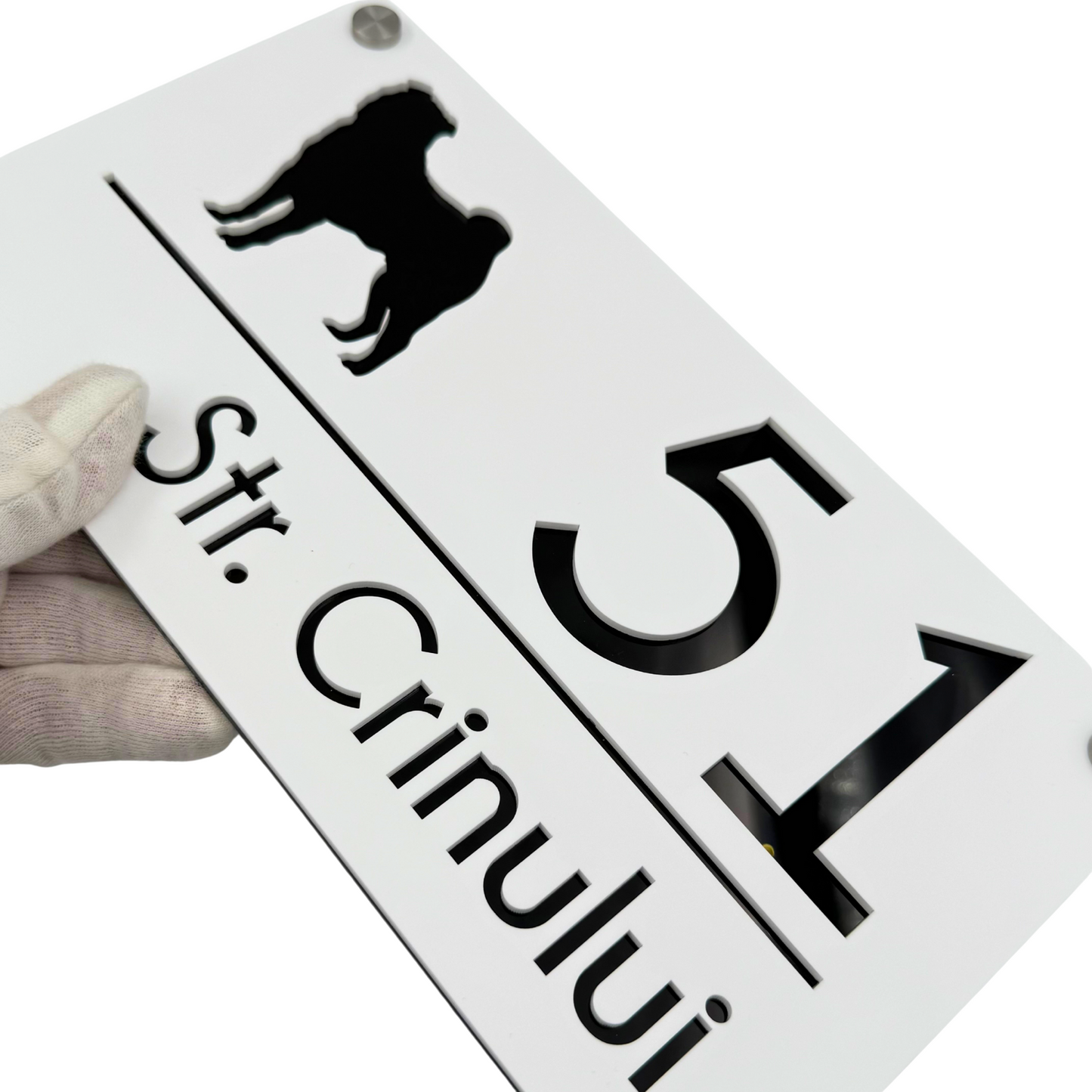 PREMIUM HOUSE NUMBER - White Satin Glossy Black 4 Spacers Silver - 28×15 cm