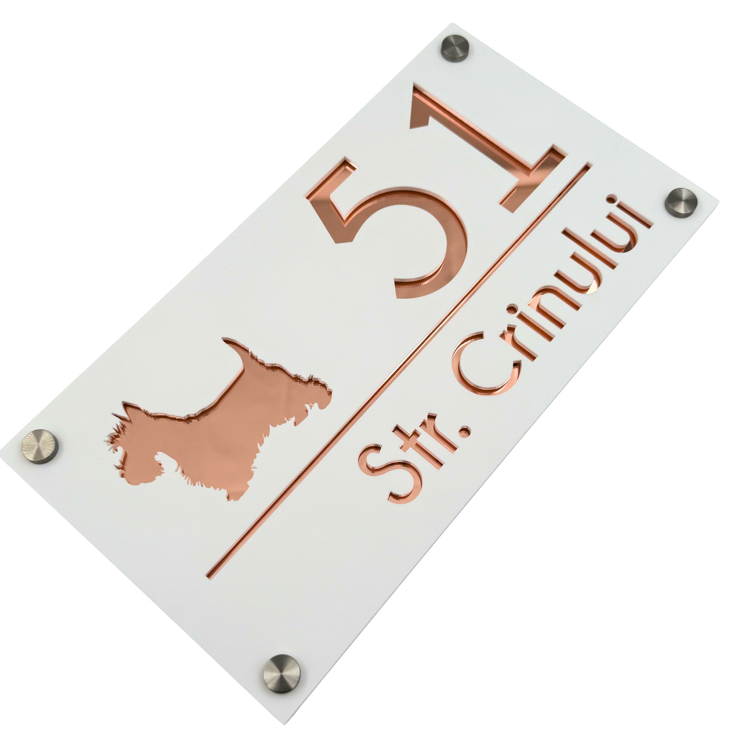 PREMIUM HOUSE NUMBER - White Satin Rose Gold Mirror 4 Spacers Silver - 28×15 cm