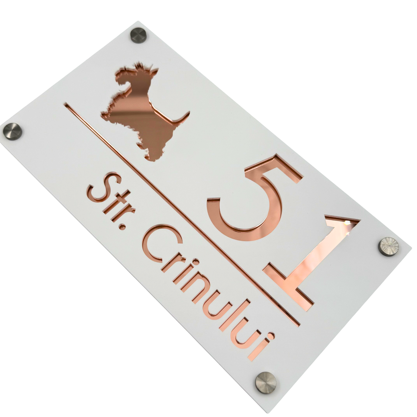 PREMIUM HOUSE NUMBER - White Satin Rose Gold Mirror 4 Spacers Silver - 28×15 cm