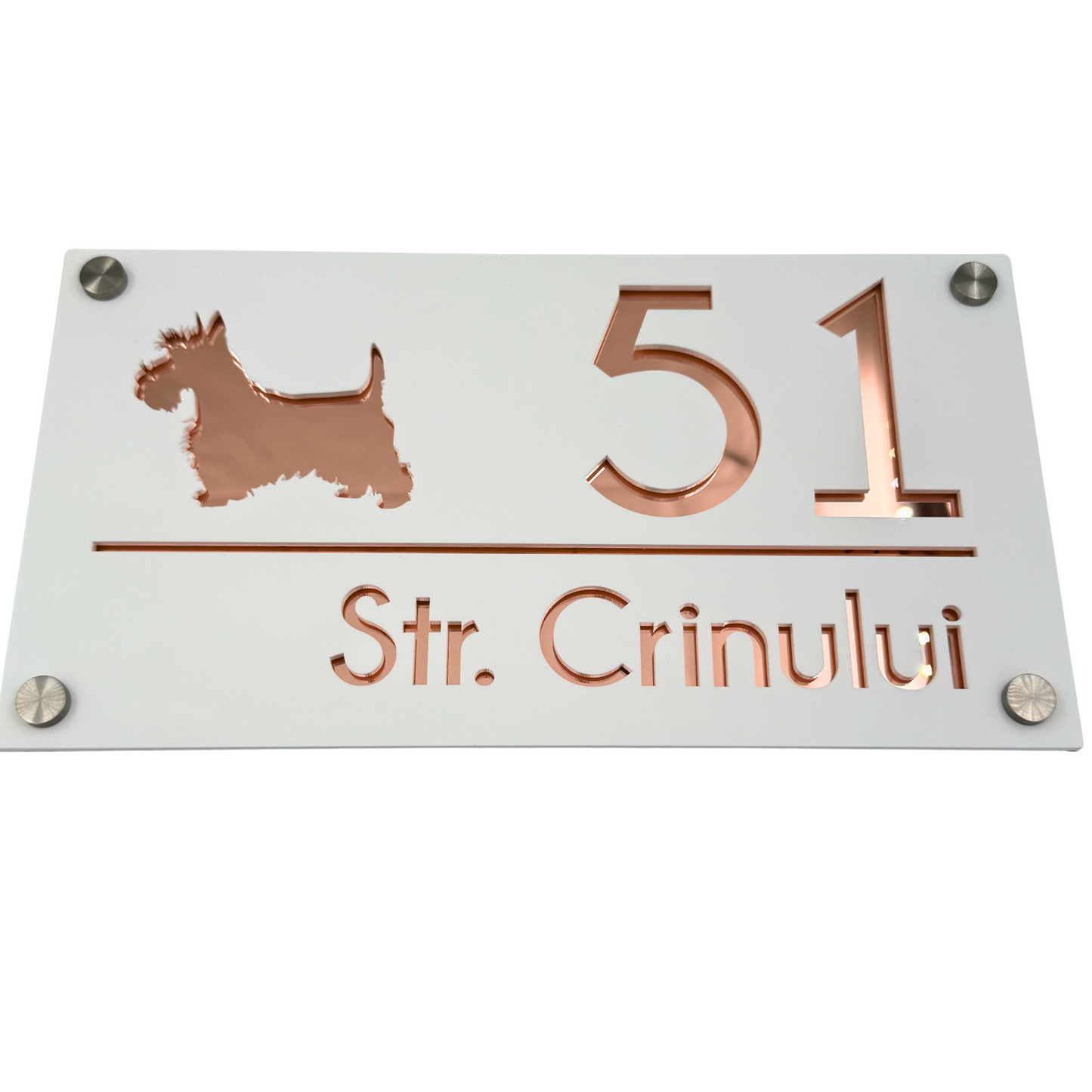 PREMIUM HOUSE NUMBER - White Satin Rose Gold Mirror 4 Spacers Silver - 28×15 cm