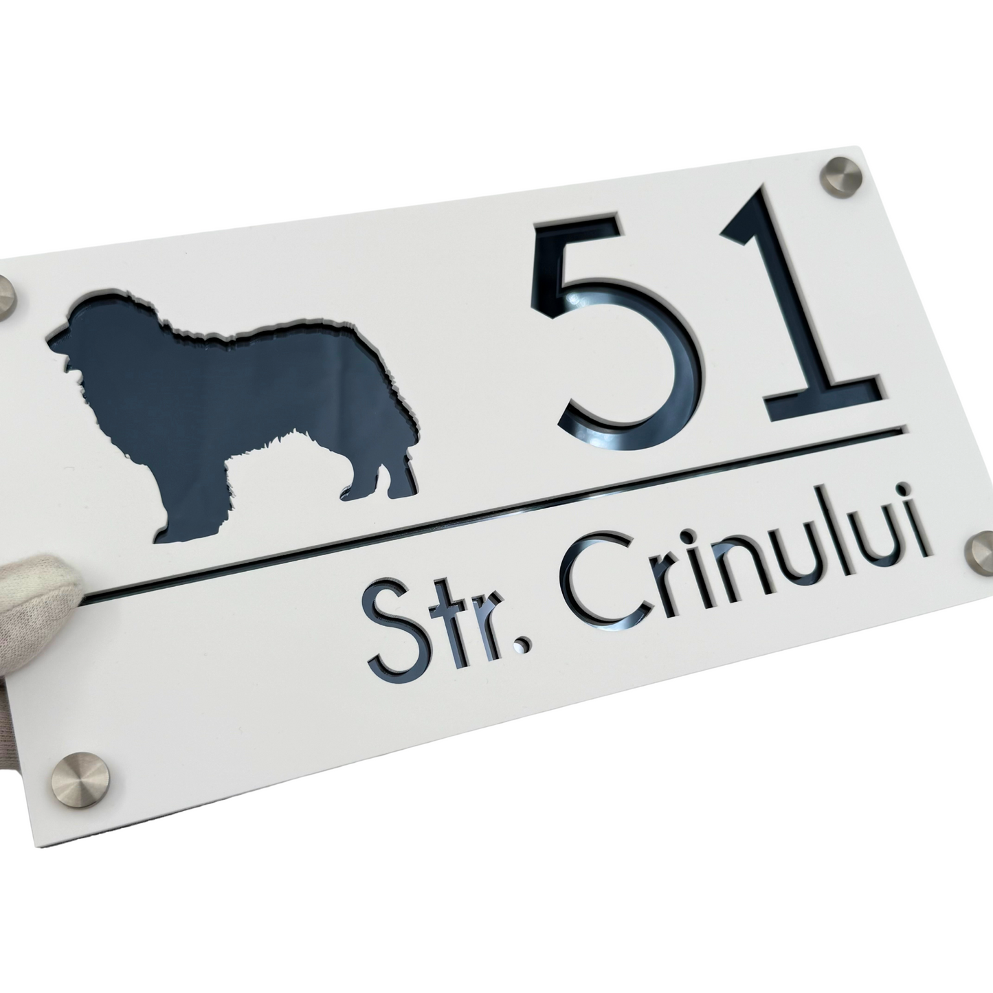 PREMIUM HOUSE NUMBER - White Satin Anthracite Grey Mirror 4 Spacers Silver - 28×15 cm