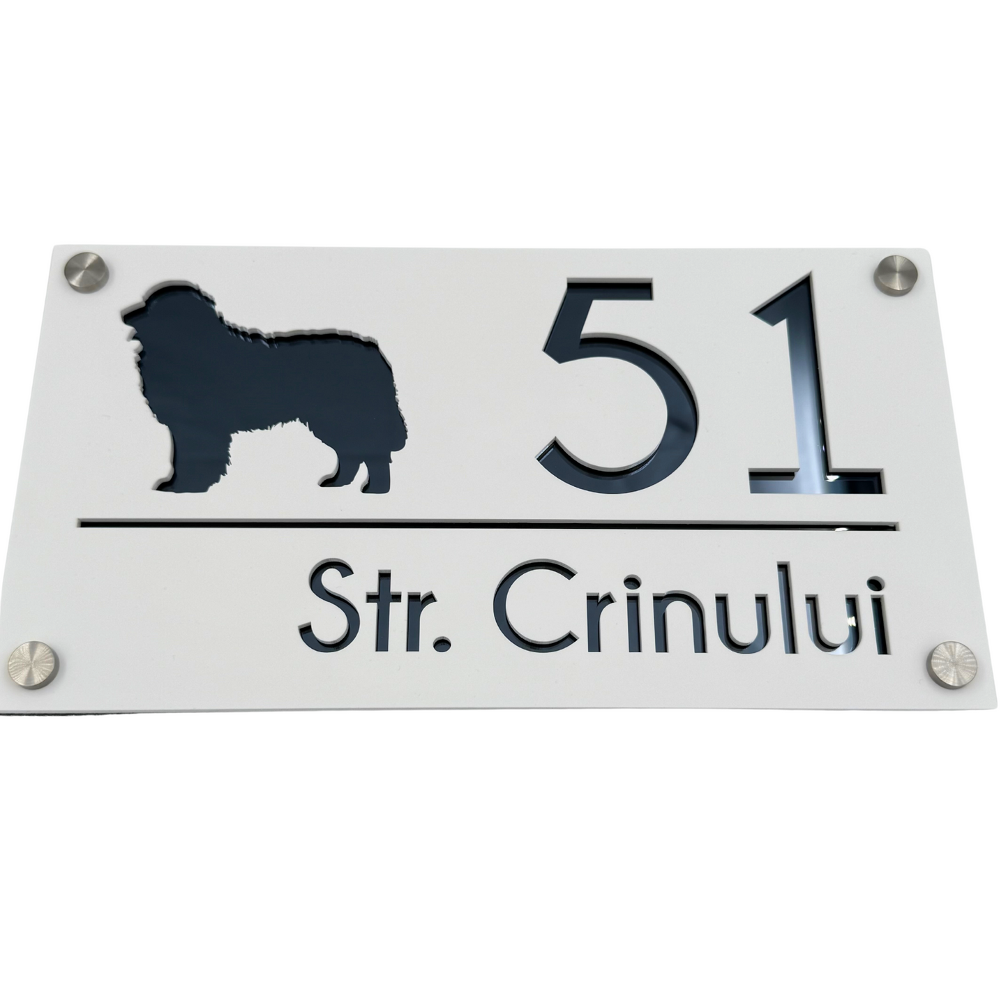 PREMIUM HOUSE NUMBER - White Satin Anthracite Grey Mirror 4 Spacers Silver - 28×15 cm