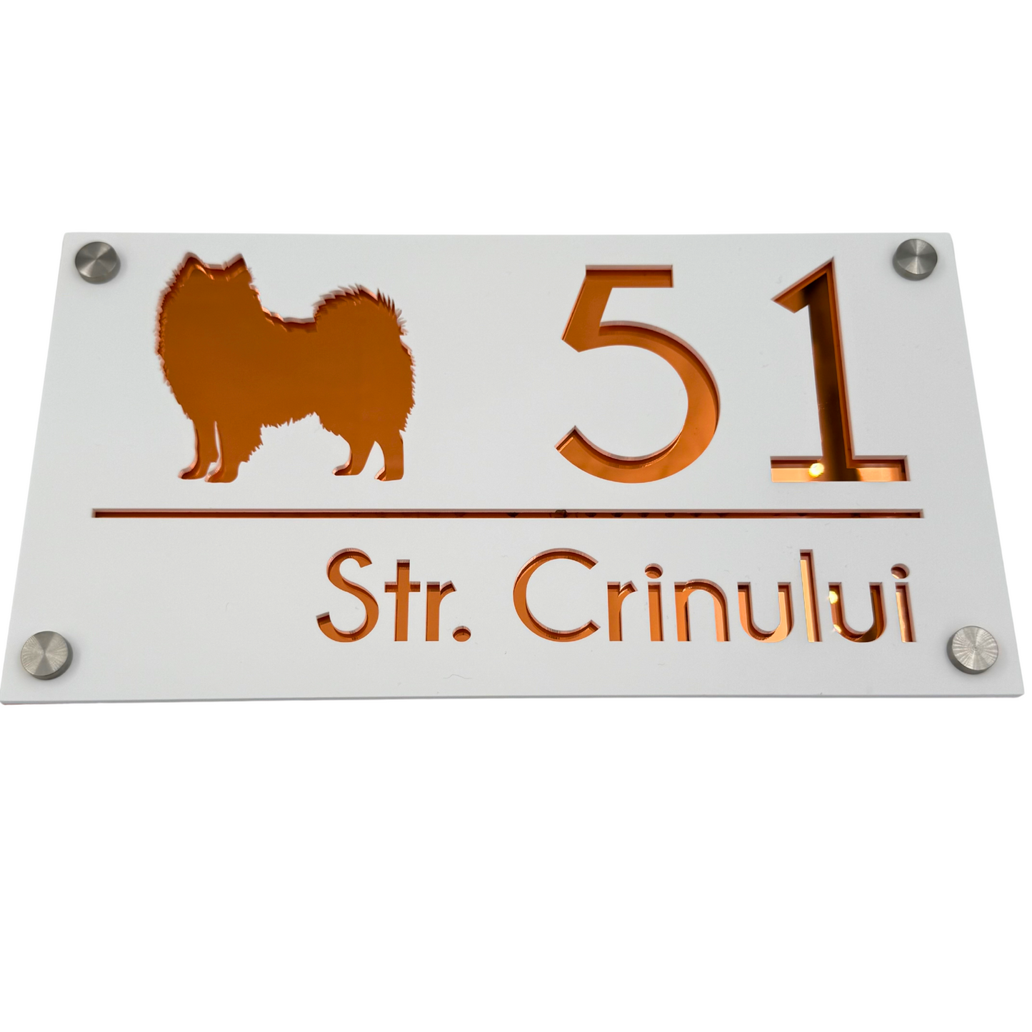 PREMIUM HOUSE NUMBER - White Satin Copper Mirror 4 Spacers Silver - 28×15 cm