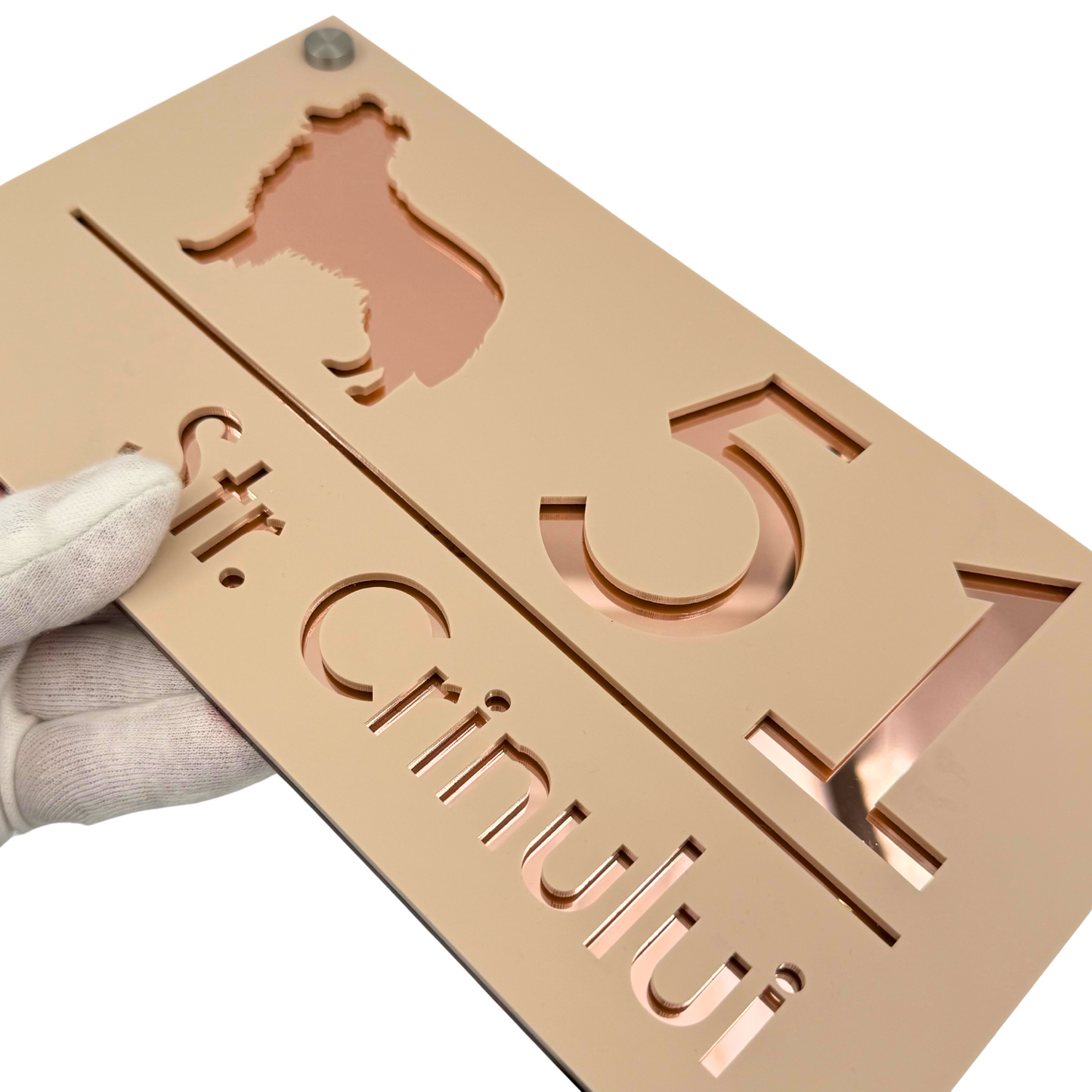 PREMIUM HOUSE NUMBER - Cream colour Satin Rose Gold Mirror 4 Spacers Silver - 28×15 cm