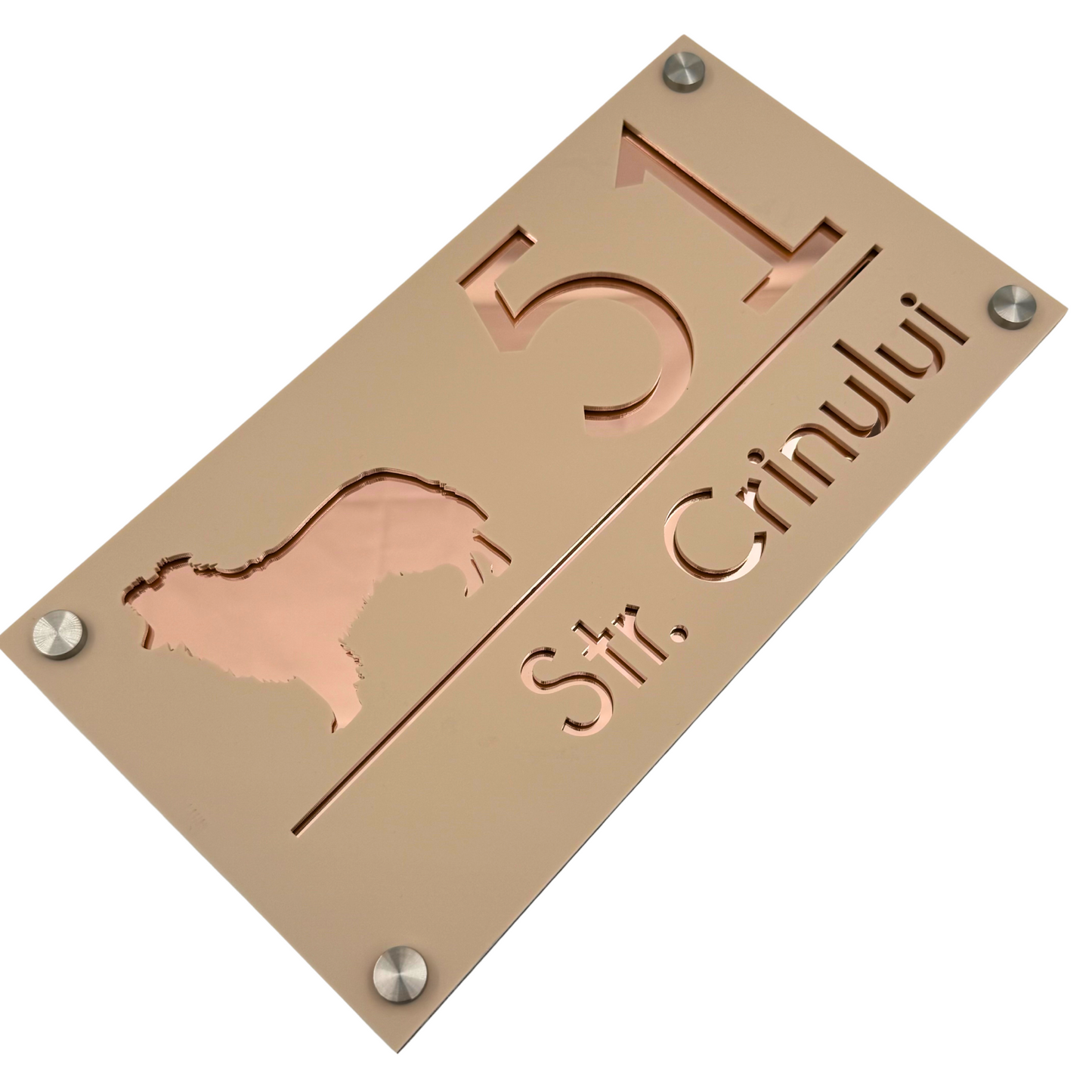 PREMIUM HOUSE NUMBER - Cream colour Satin Rose Gold Mirror 4 Spacers Silver - 28×15 cm