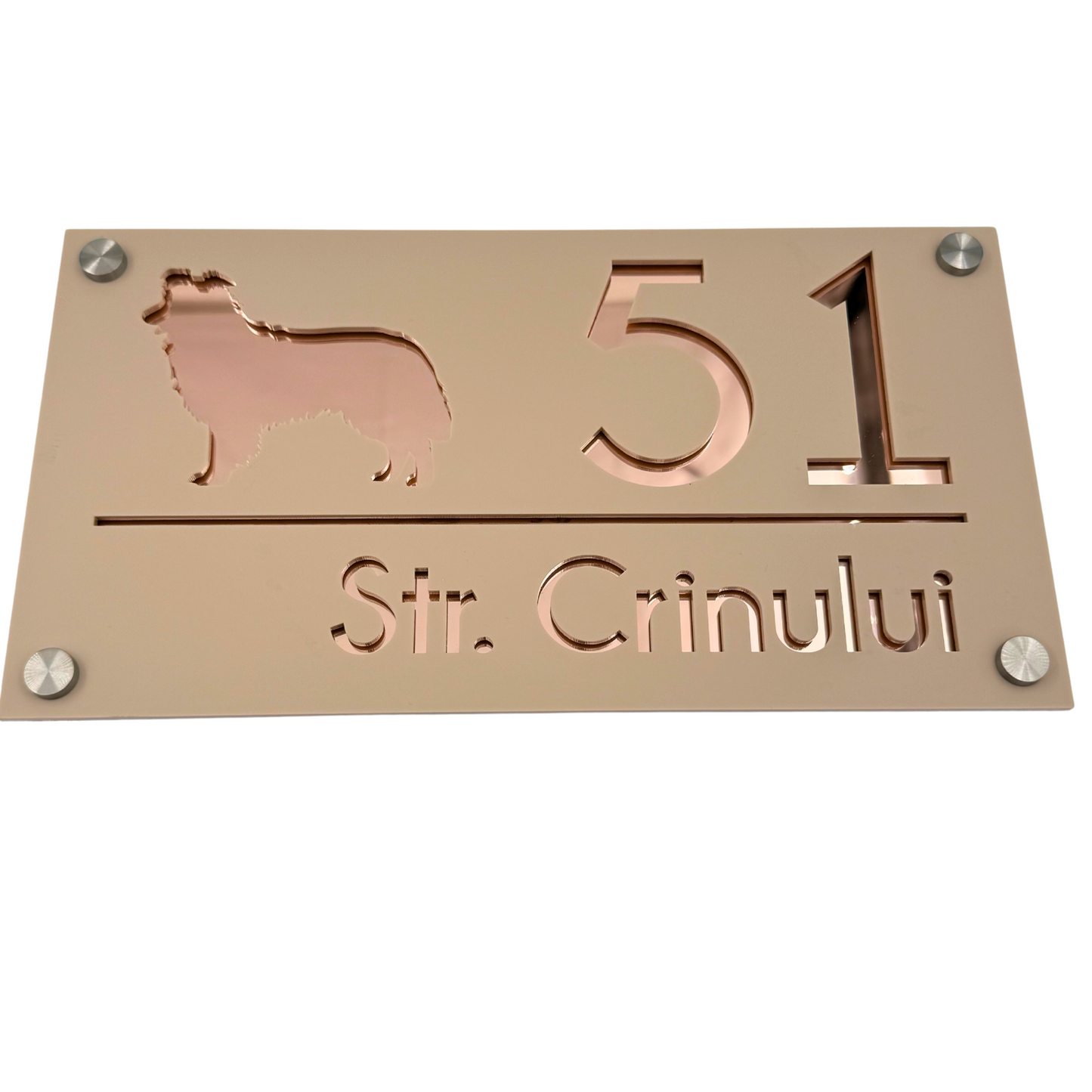 PREMIUM HOUSE NUMBER - Cream colour Satin Rose Gold Mirror 4 Spacers Silver - 28×15 cm