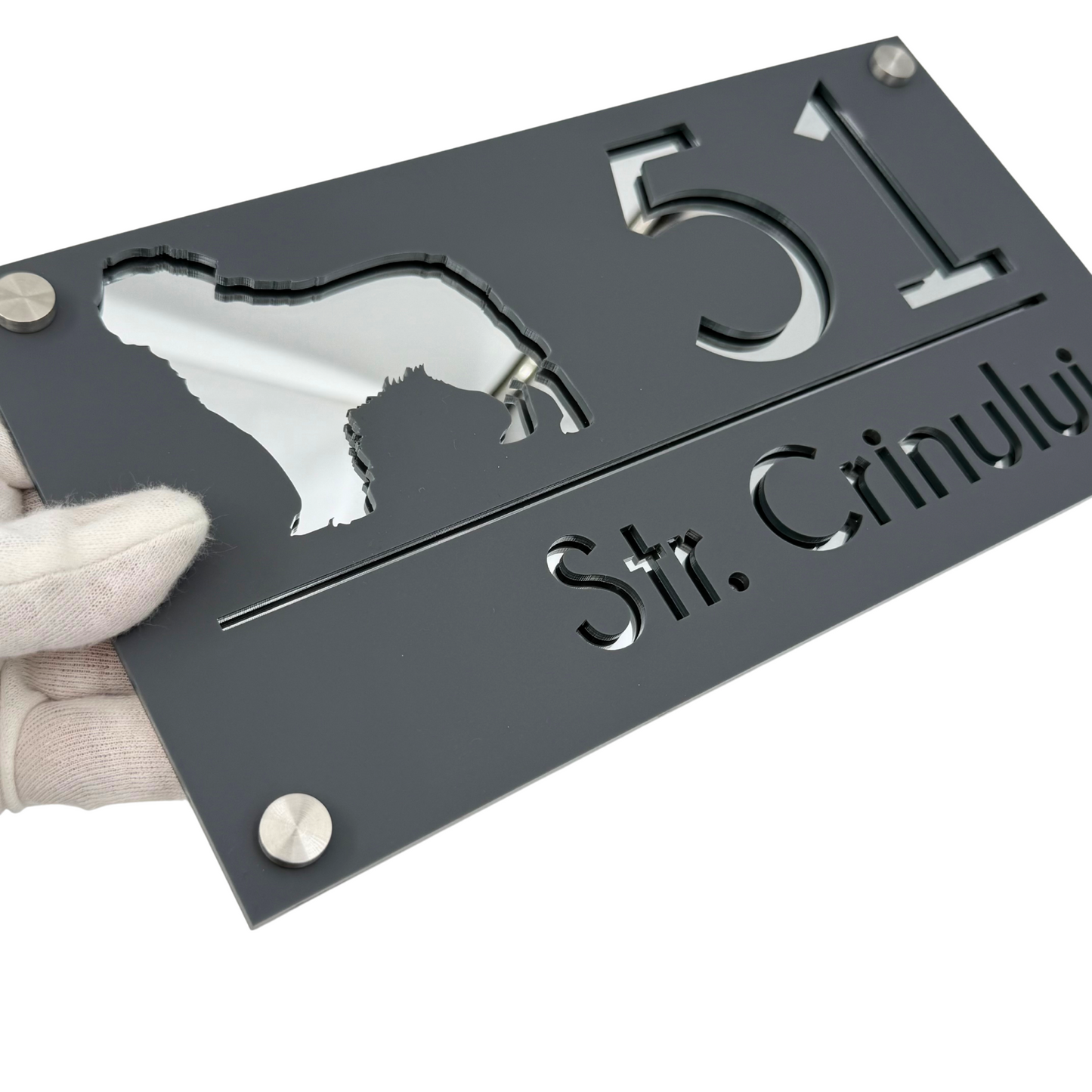 PREMIUM HOUSE NUMBER - Satin Grey Silver Mirror 4 Spacers Silver - 28×15 cm
