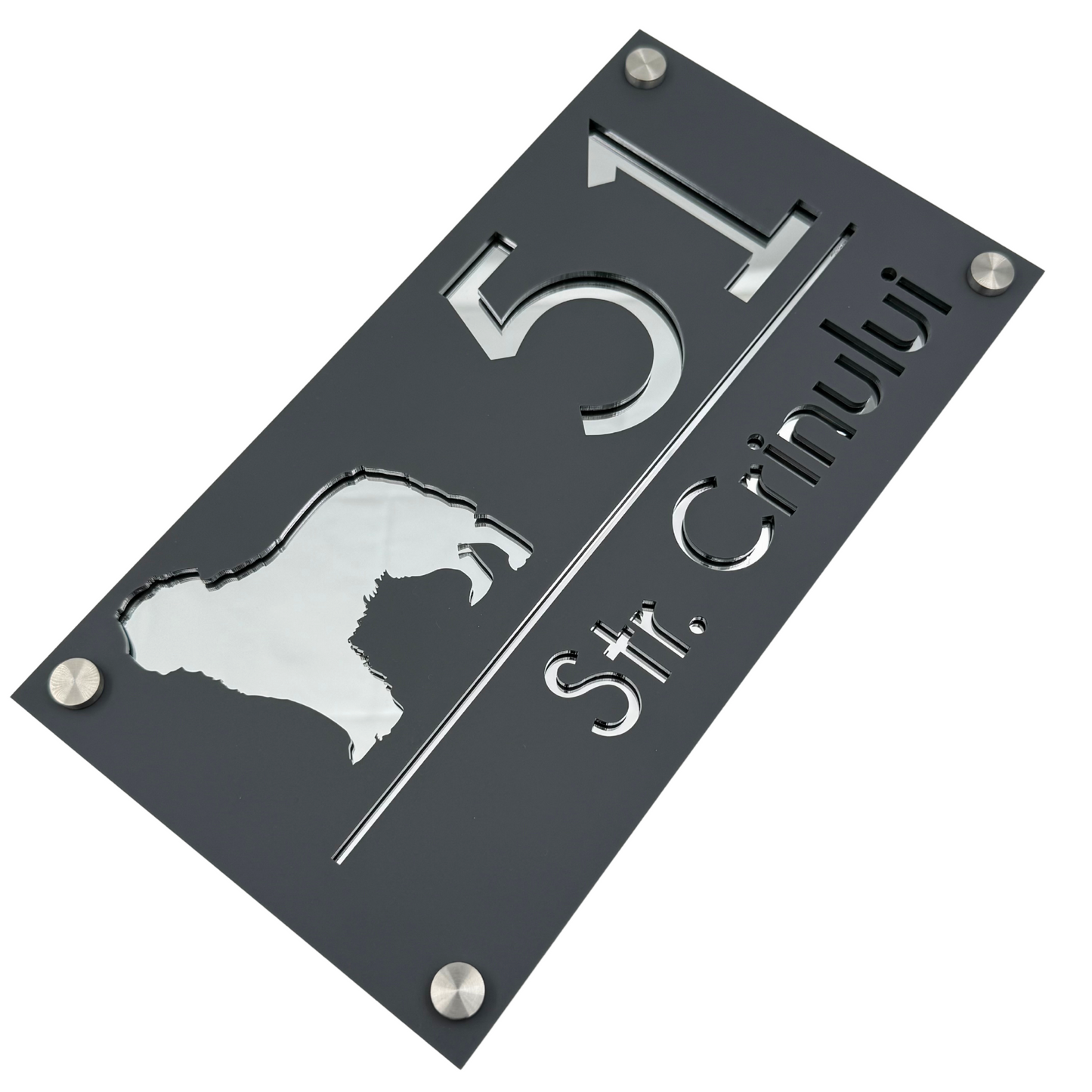 PREMIUM HOUSE NUMBER - Satin Grey Silver Mirror 4 Spacers Silver - 28×15 cm