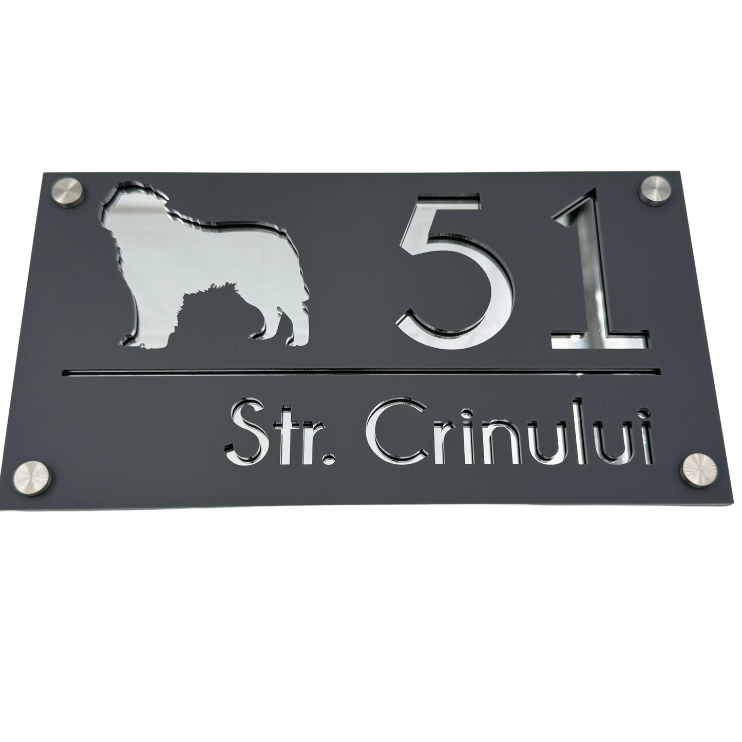 PREMIUM HOUSE NUMBER - Satin Grey Silver Mirror 4 Spacers Silver - 28×15 cm