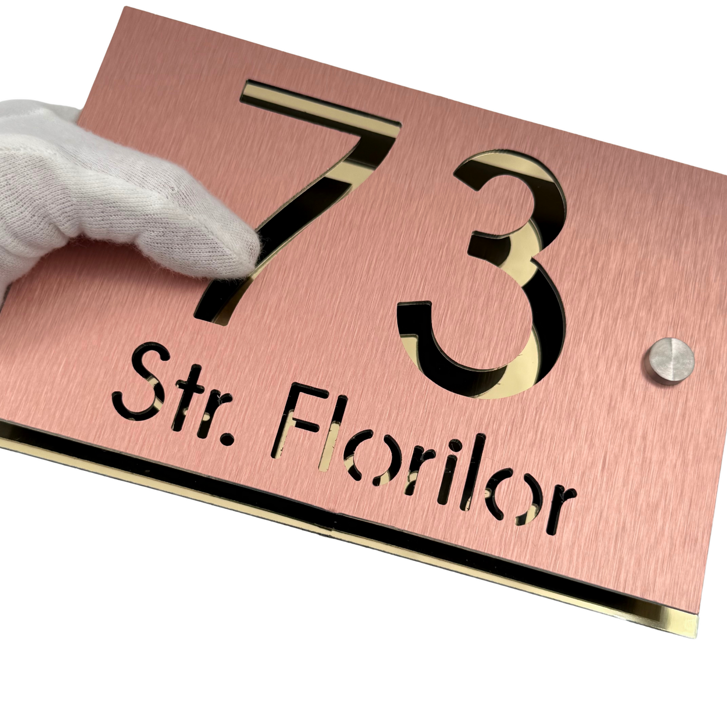 PREMIUM HOUSE NUMBER - Aluminium Pearly Copper Aluminium Gold Mirror 2 Spacers Silver - 20×13 cm