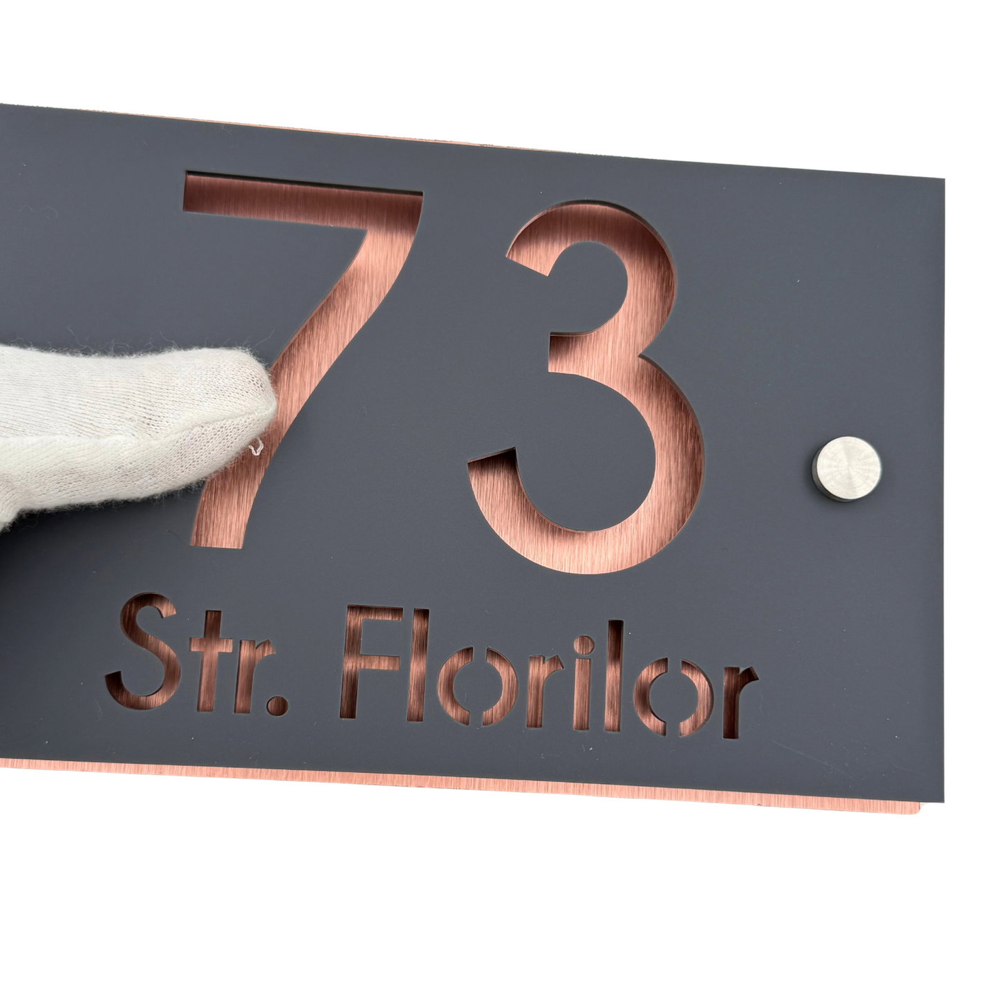 PREMIUM HOUSE NUMBER - Satin Grey Aluminium Pearly Copper 2 Spacers Silver - 20×13 cm